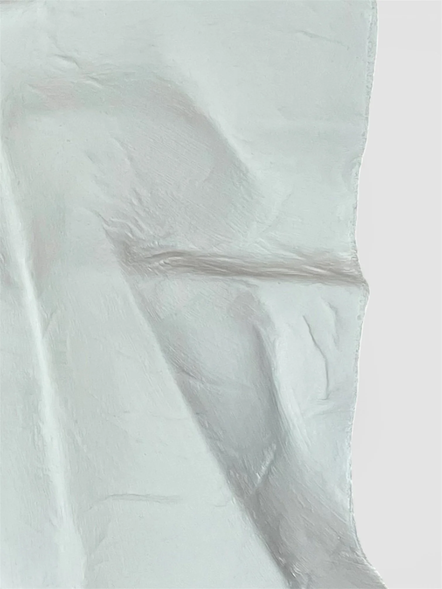 Latencia_Paloma_Rocha_Detalle_closeup.JPG