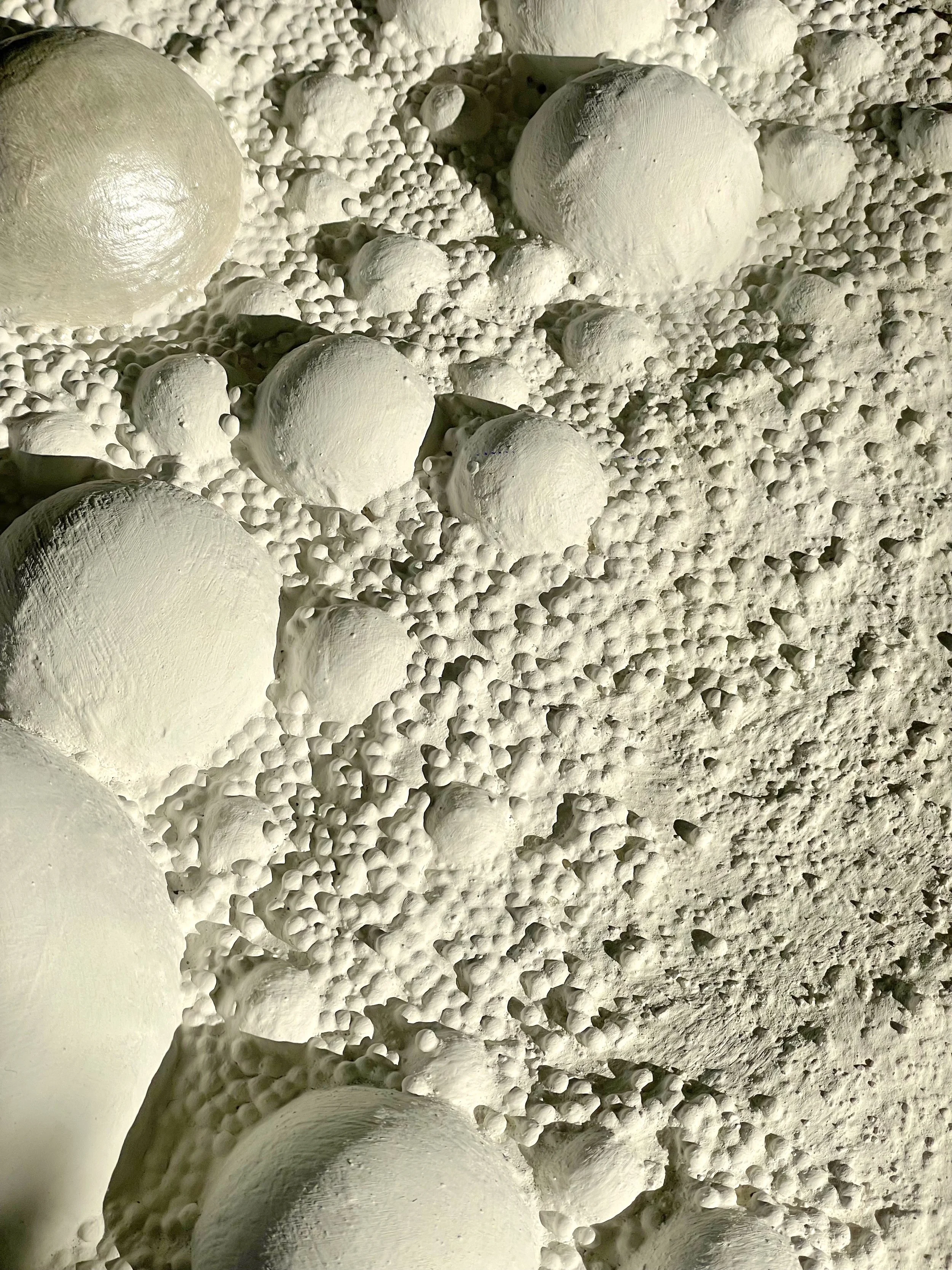 Espuma_PalomaRocha_.jpg