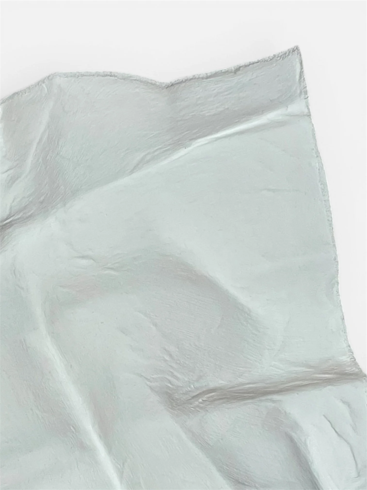 Latencia_Paloma_Rocha.JPG