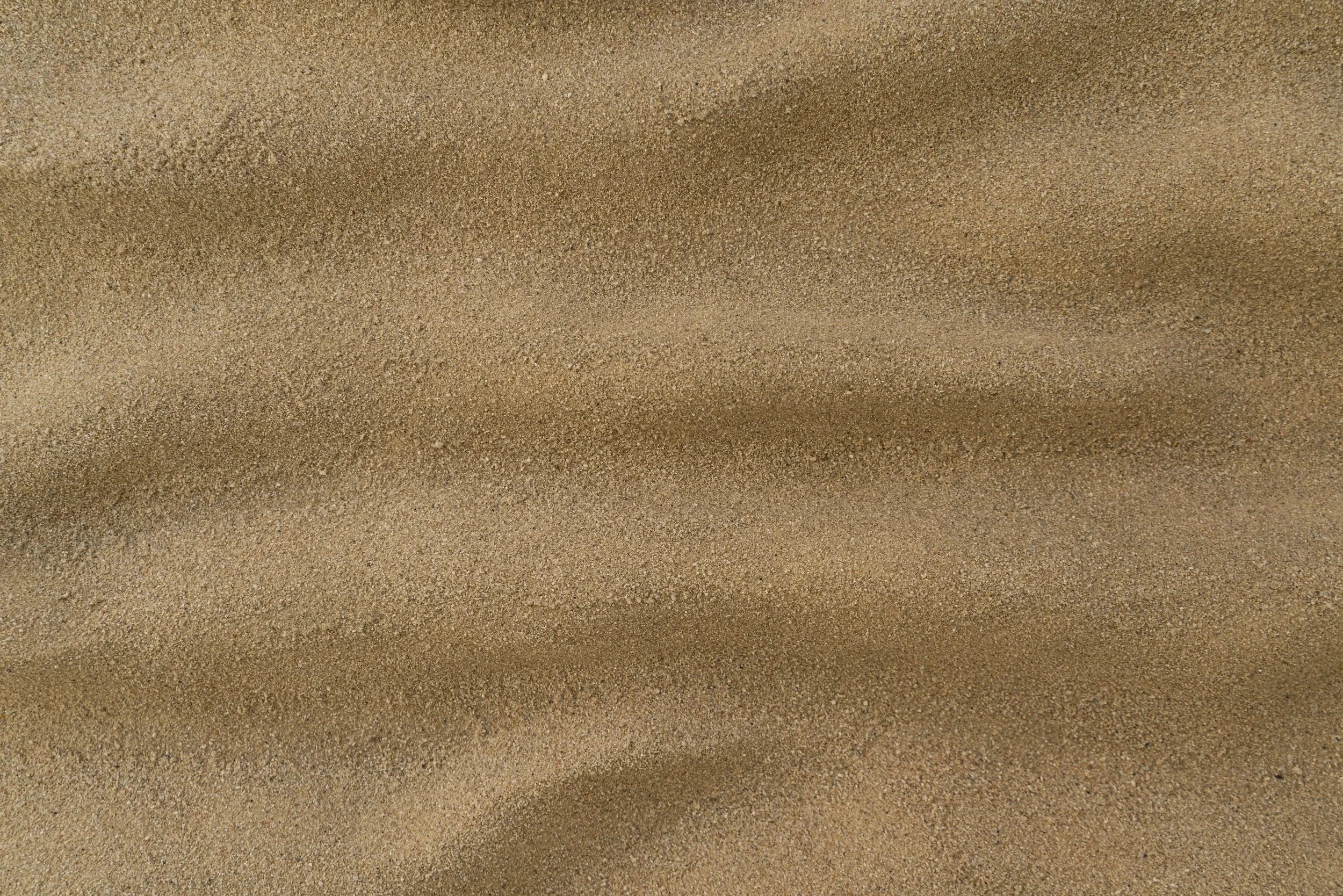 paloma-rocha-sand-organic-surface-detail.jpg