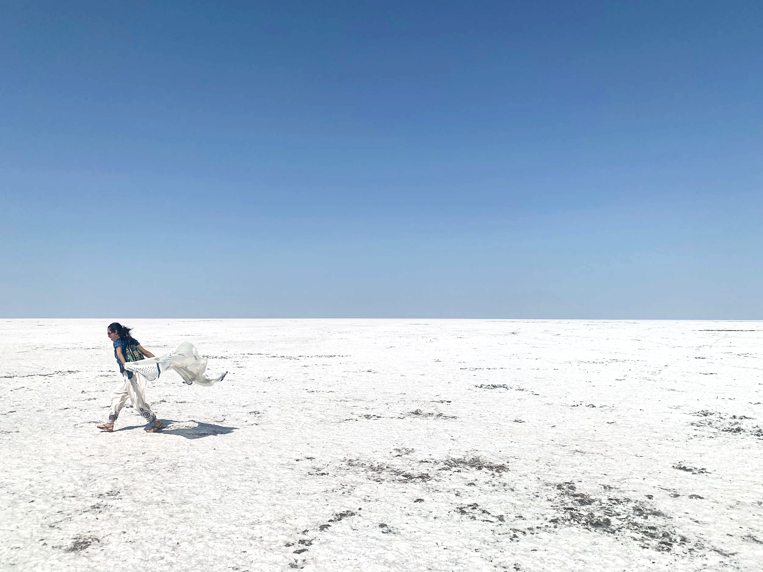 creative non-fiction about animals