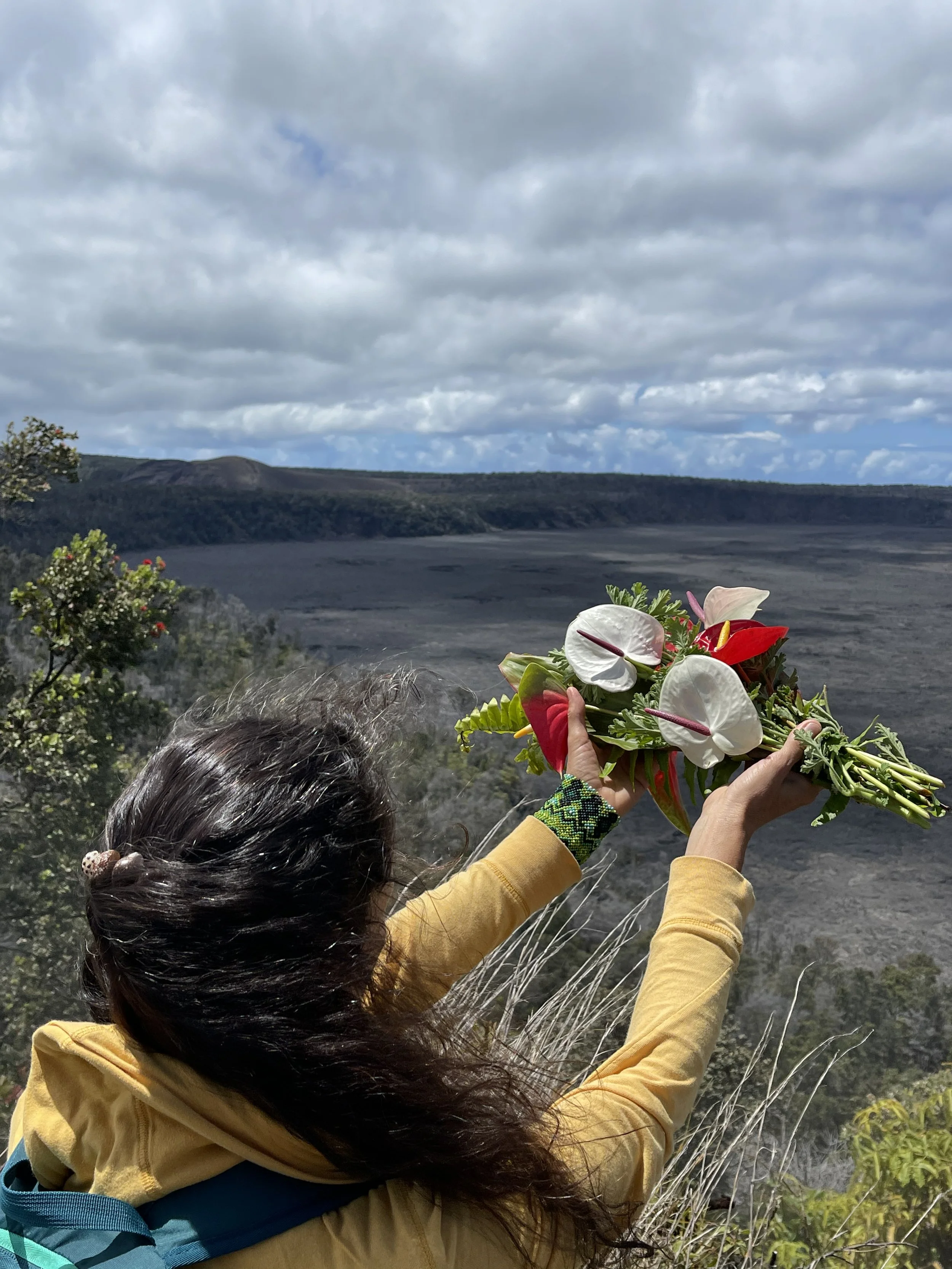 Heather Rose Big island volcano