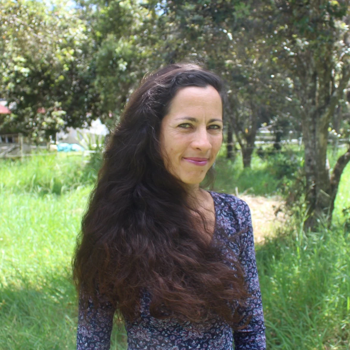 Children's book author Hawaii