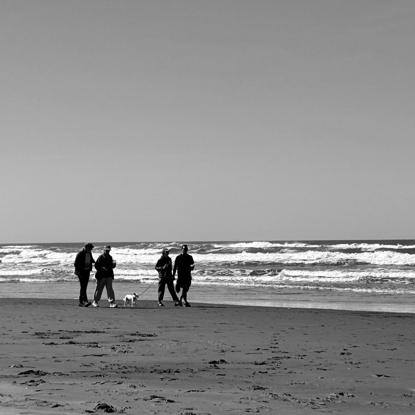 Motherhood in the Middle Group