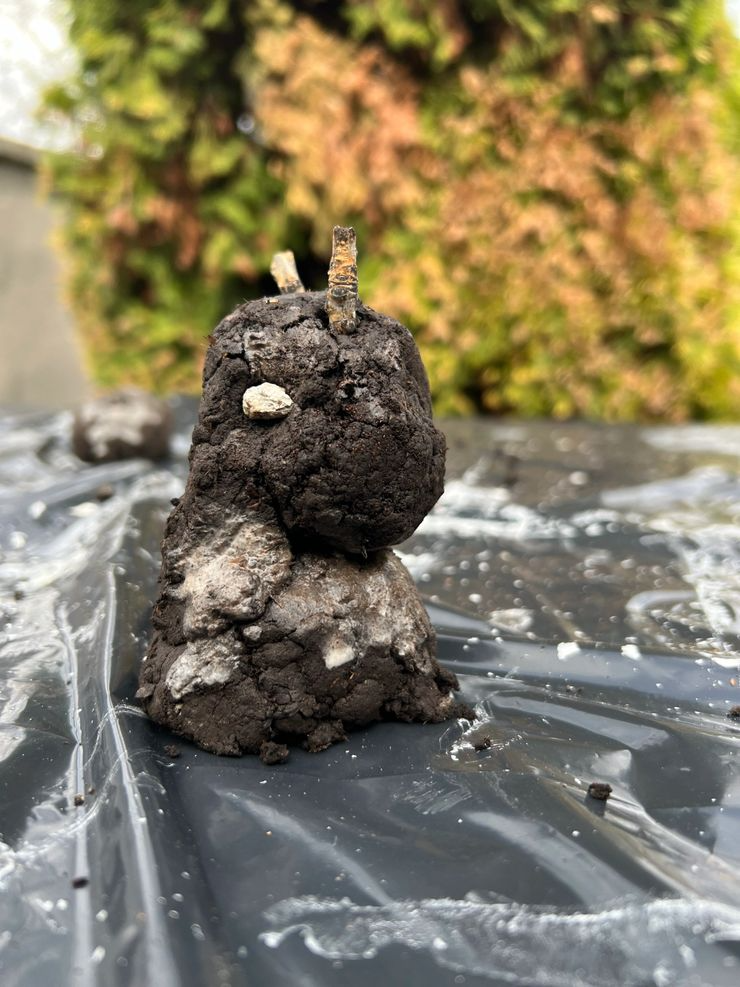 A small snowman-like figure made of dirt and rocks, with two small sticks as arms, sitting on a plastic surface outdoors with blurred trees in the background.
