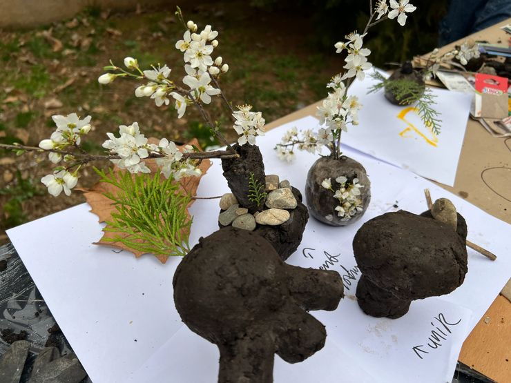 Small plants and branches with white flowers planted in rocks and soil, arranged on white paper on a table.
