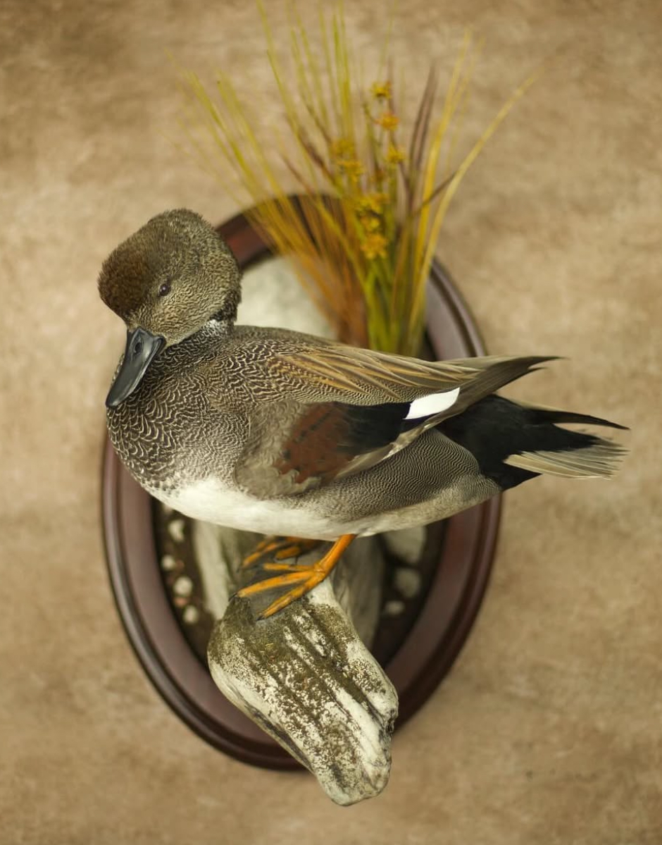 Screenshot 2025-07-12 at 4.18.28 PM.png