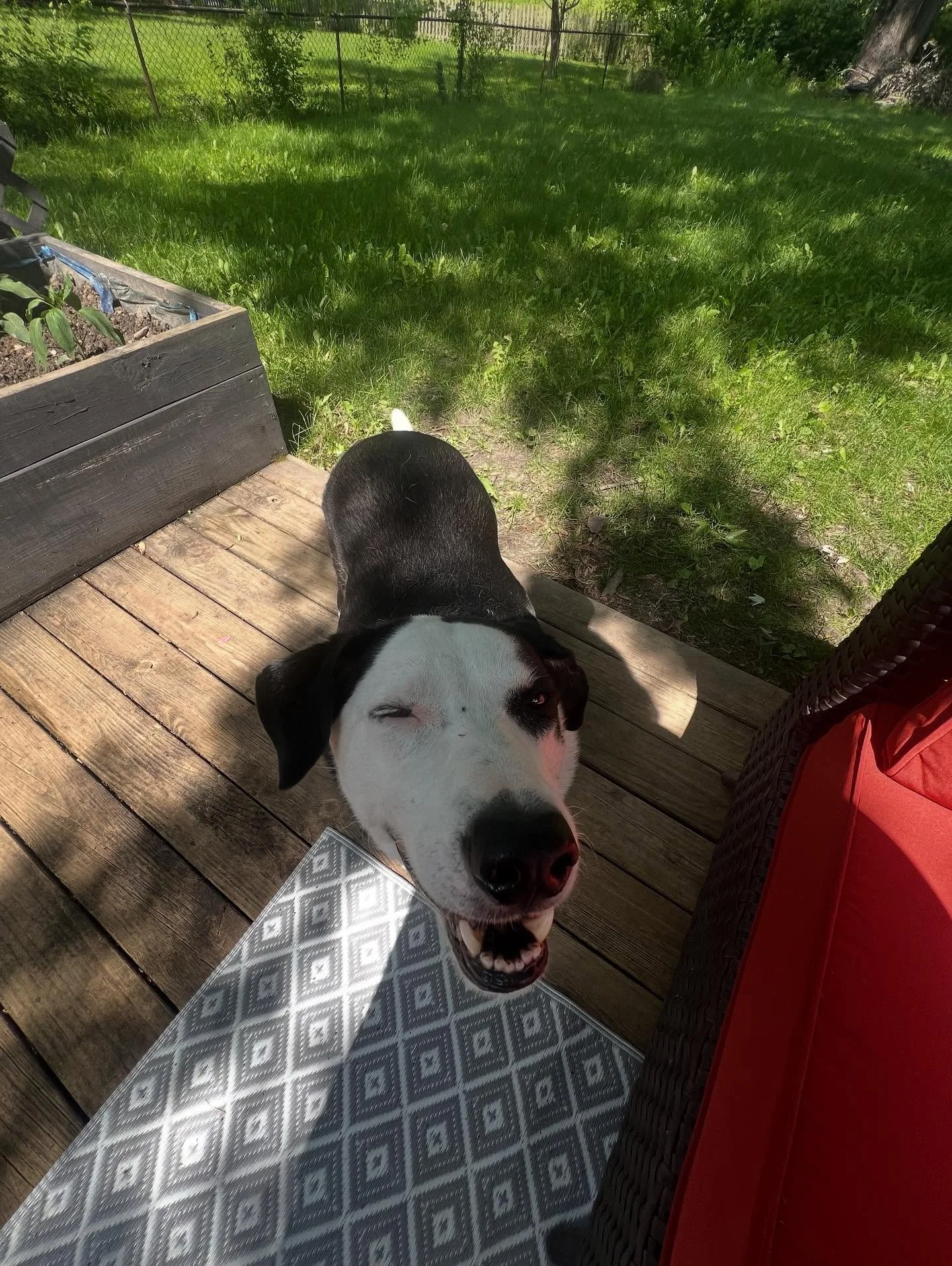 Sweet Summertime (the recap) 🍉☀️💜🎵