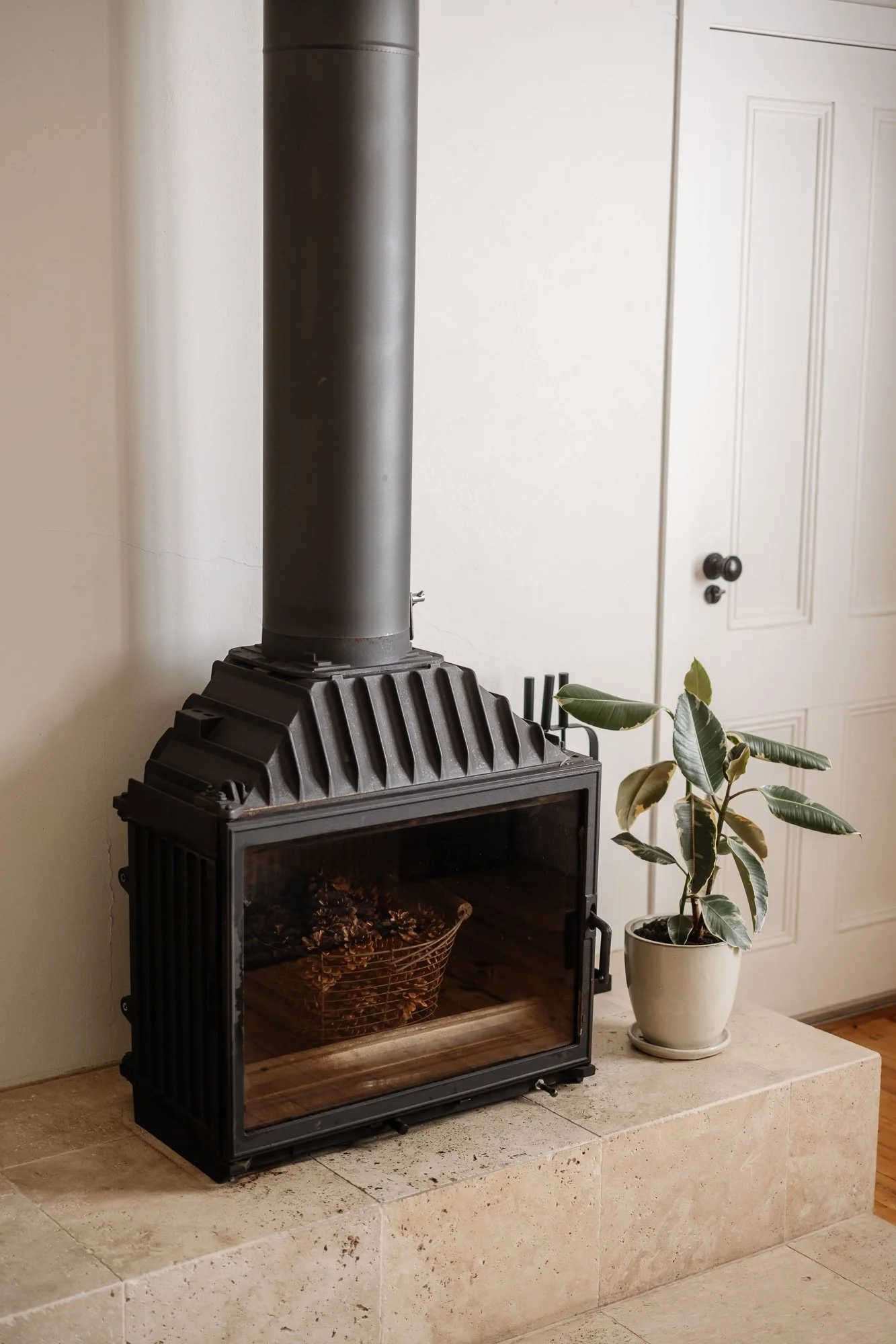 A black fire place with a glass door, next to a potted plant with dark green leaves, on a beige tiled hearth.