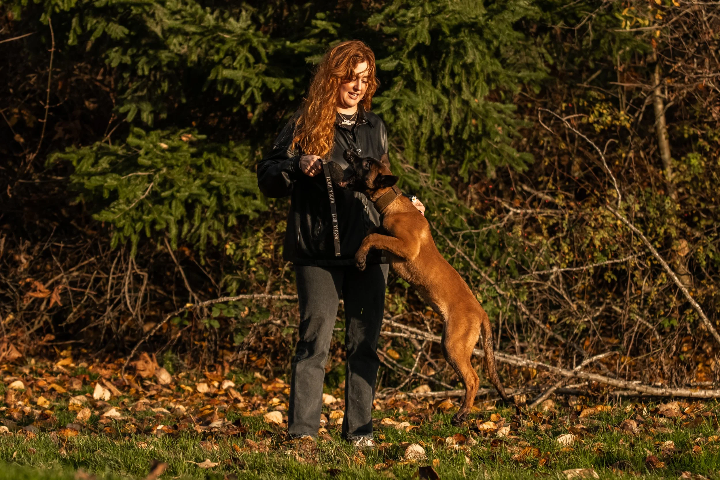 A woman training a Belgian Malinois dog in a wooded outdoor area during autumn.