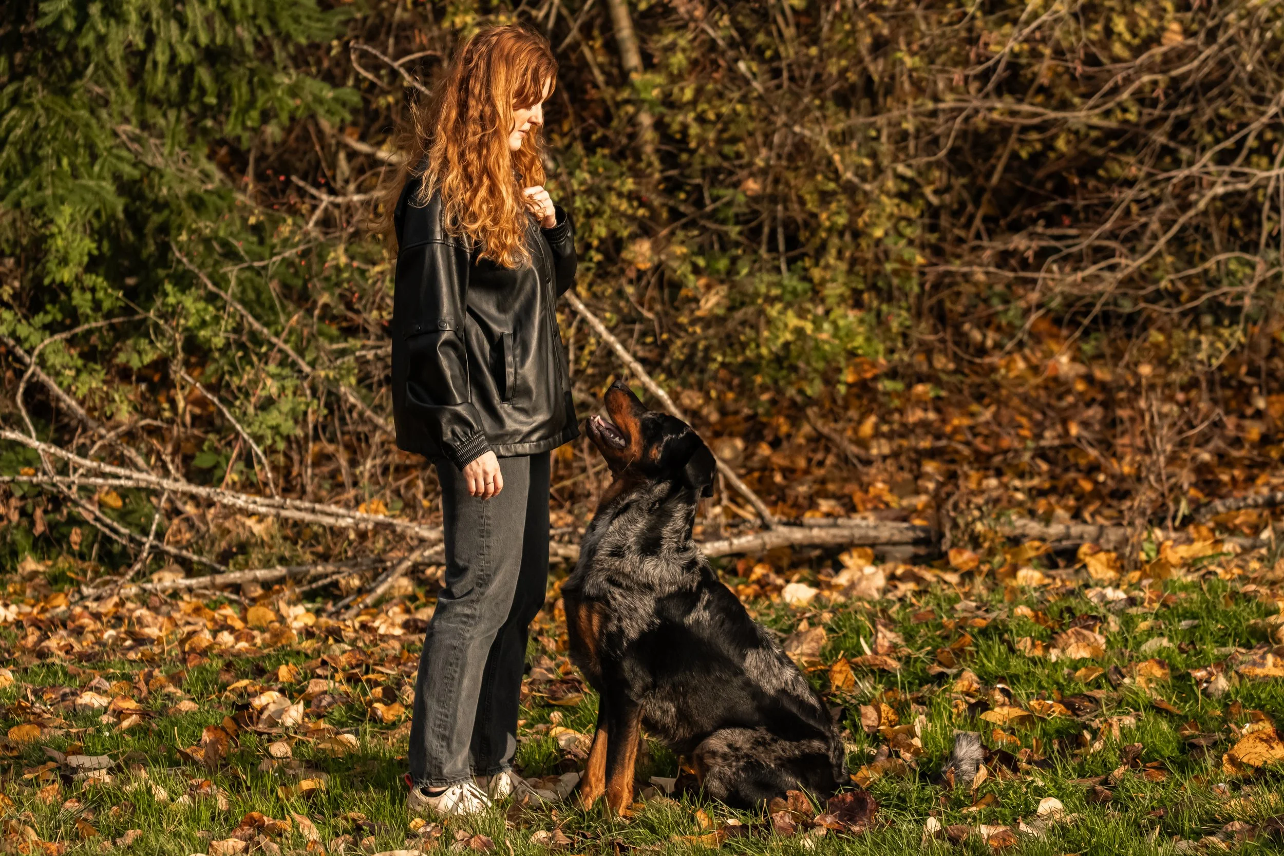 A woman with long red hair, wearing a black leather jacket and gray jeans, stands outdoors on a grassy area covered with fallen leaves. She is facing a large black and brown dog sitting attentively and looking up at her in front of dense bushes with 