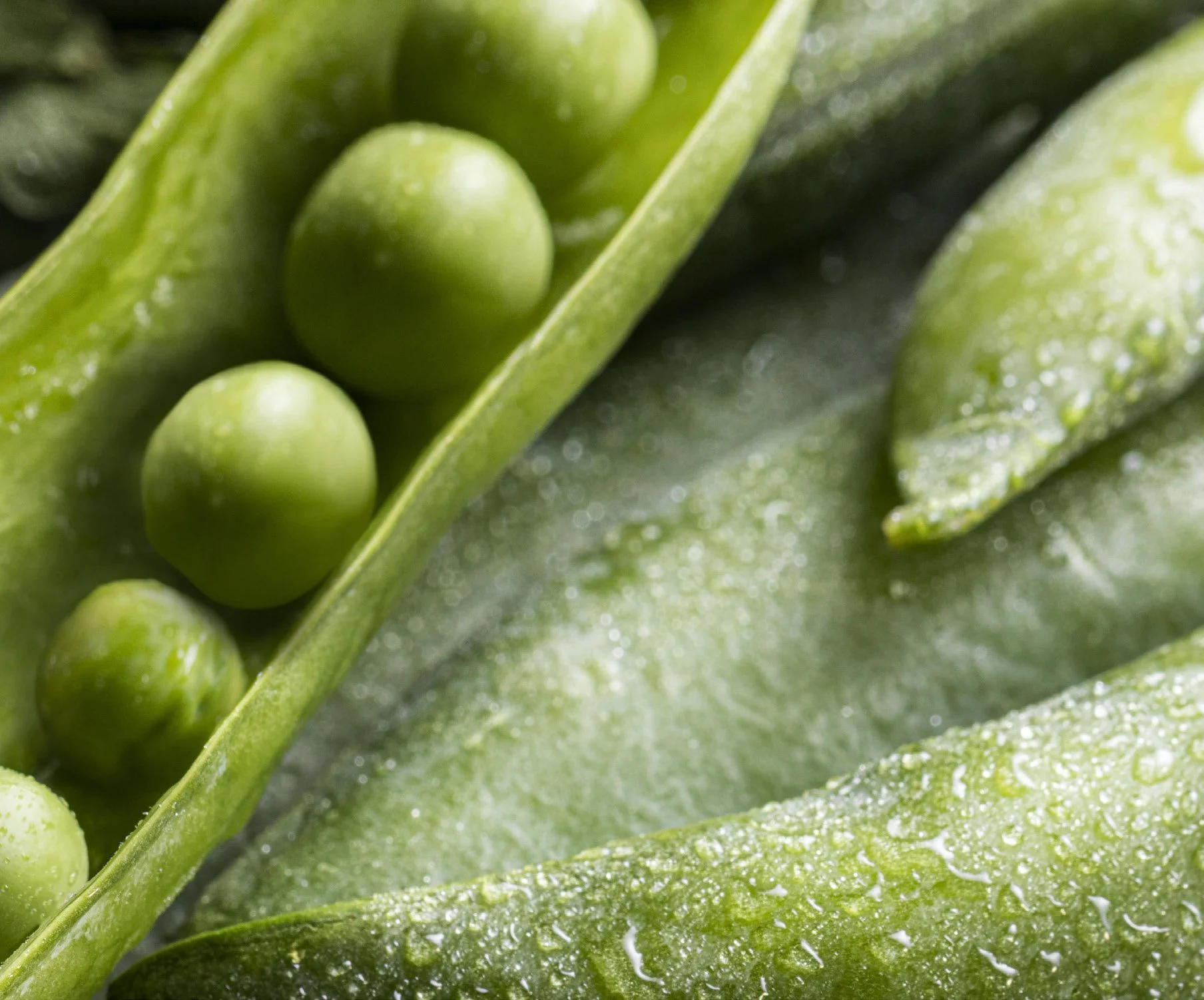 FRESH PRODUCE