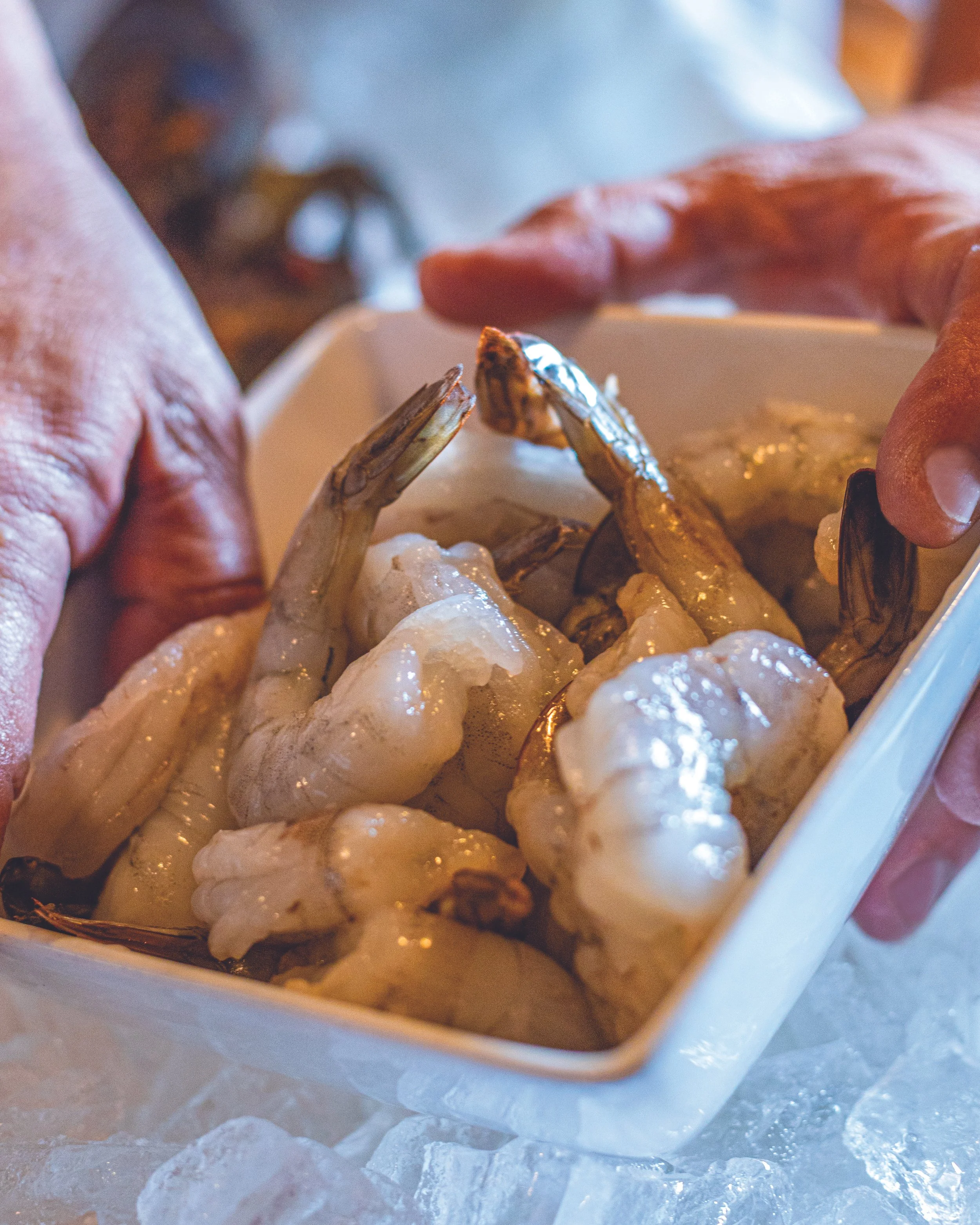 Shrimp.jpg