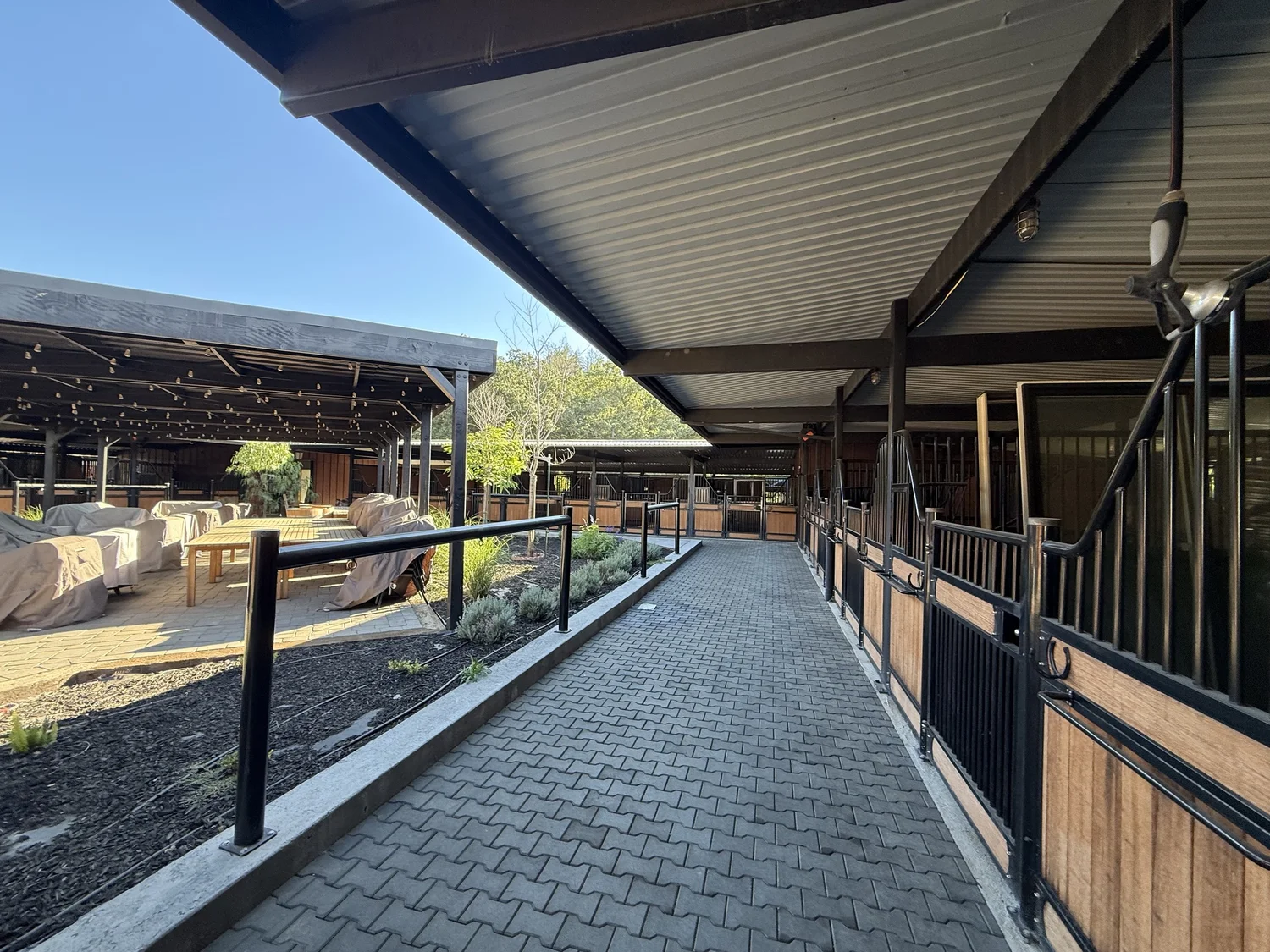 Spine Ranch The Ranch — Stone Tree Ranch