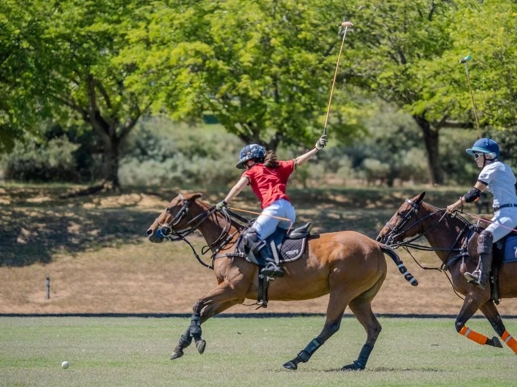 Polo Lessons Napa Valley and Sonoma