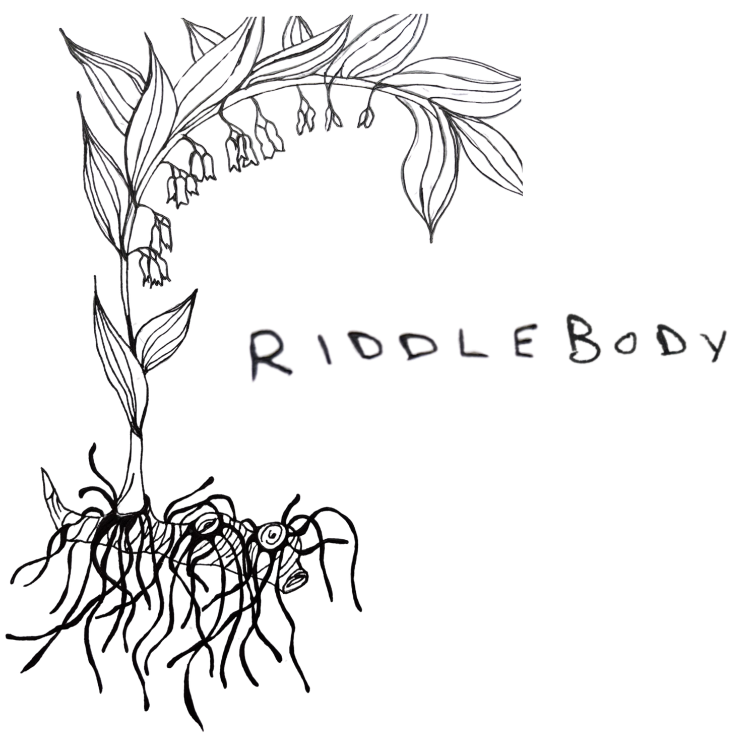 RIDDLEBODY