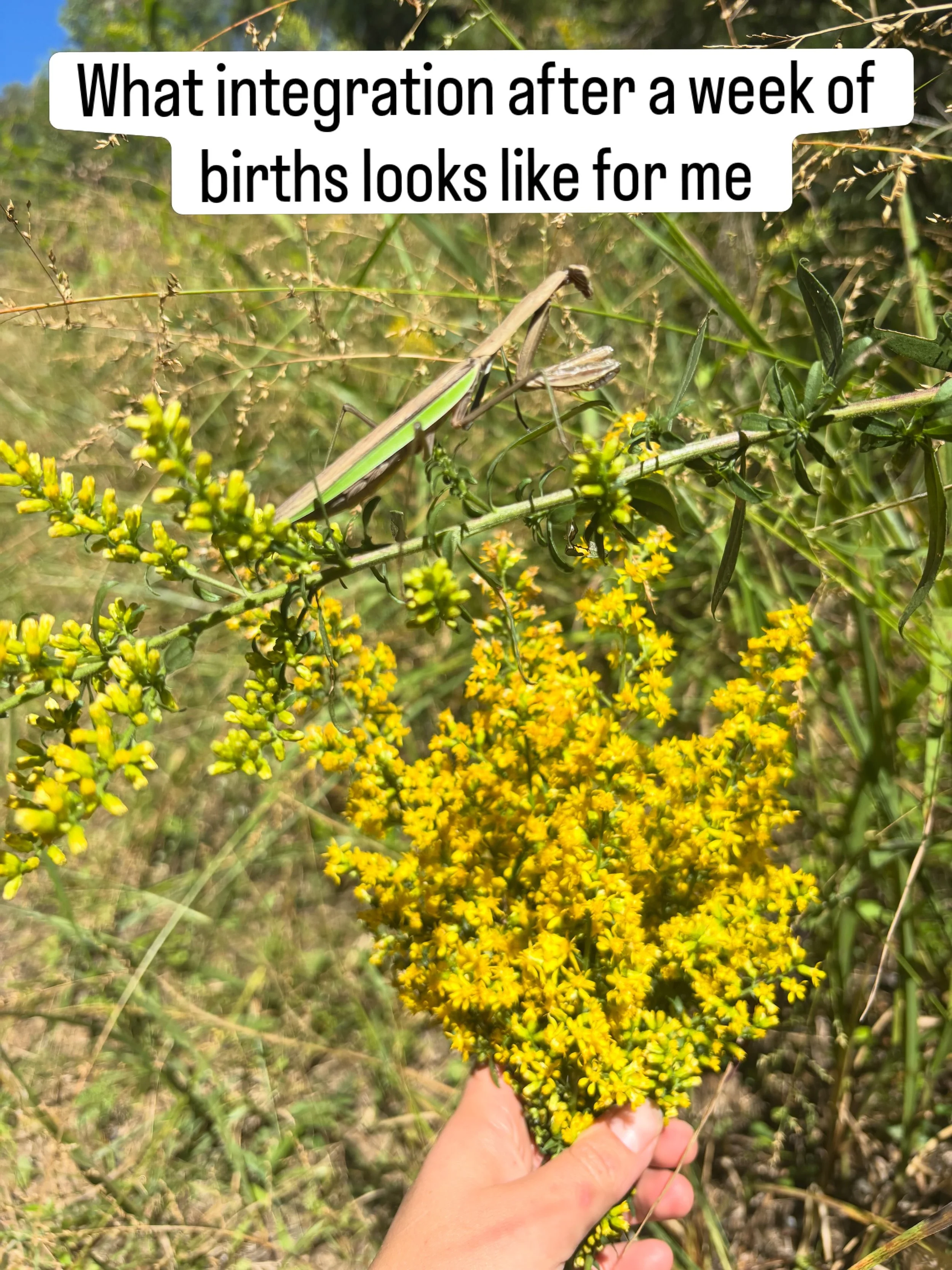 You can&rsquo;t plan birth, for the most part! And when you are able to schedule your birth there are still unknowns and uncontrollables that arise! Also, sometimes babies like to all come at the same time 🥰 especially around full moons, equinox&rsq