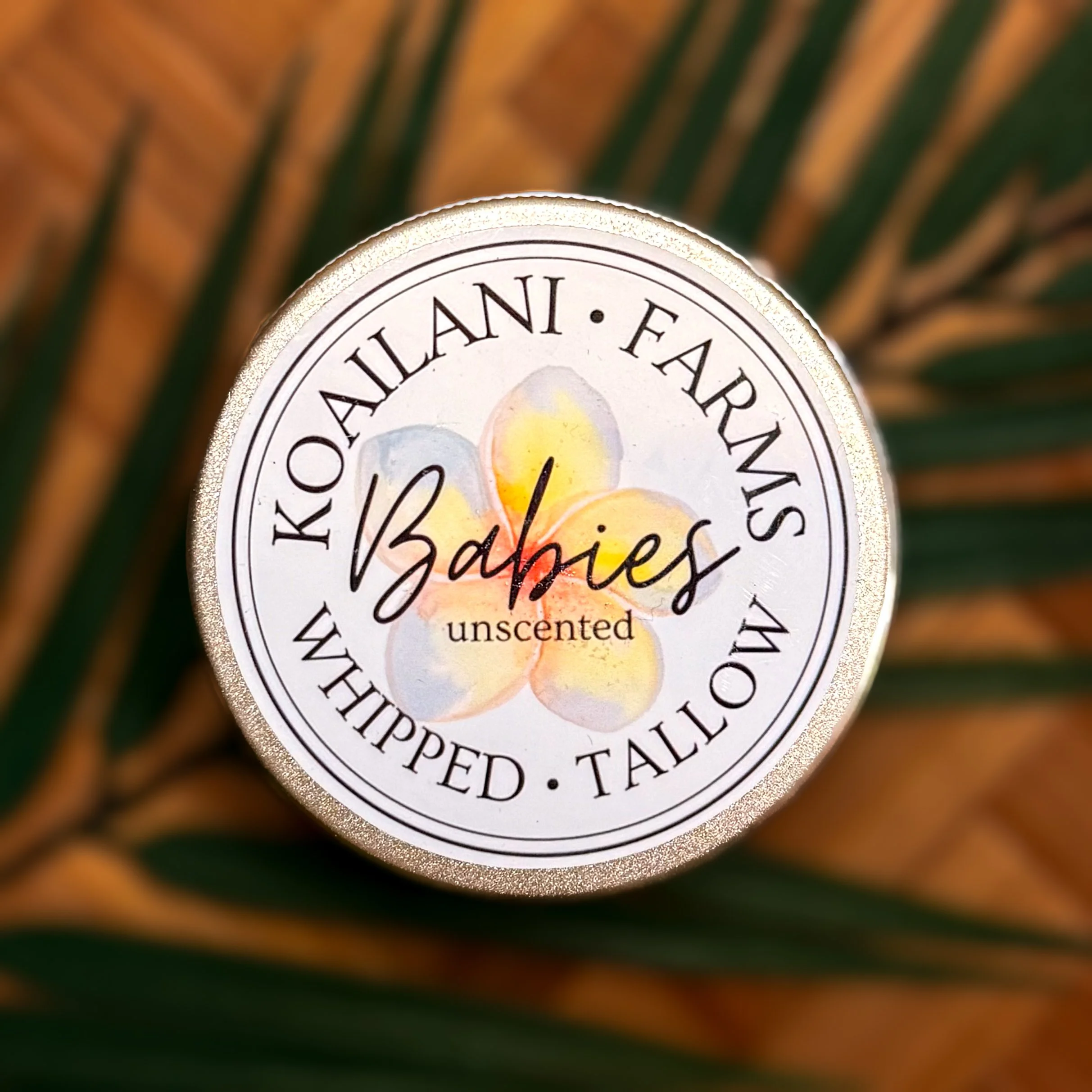 Baby Whipped Tallow Butter