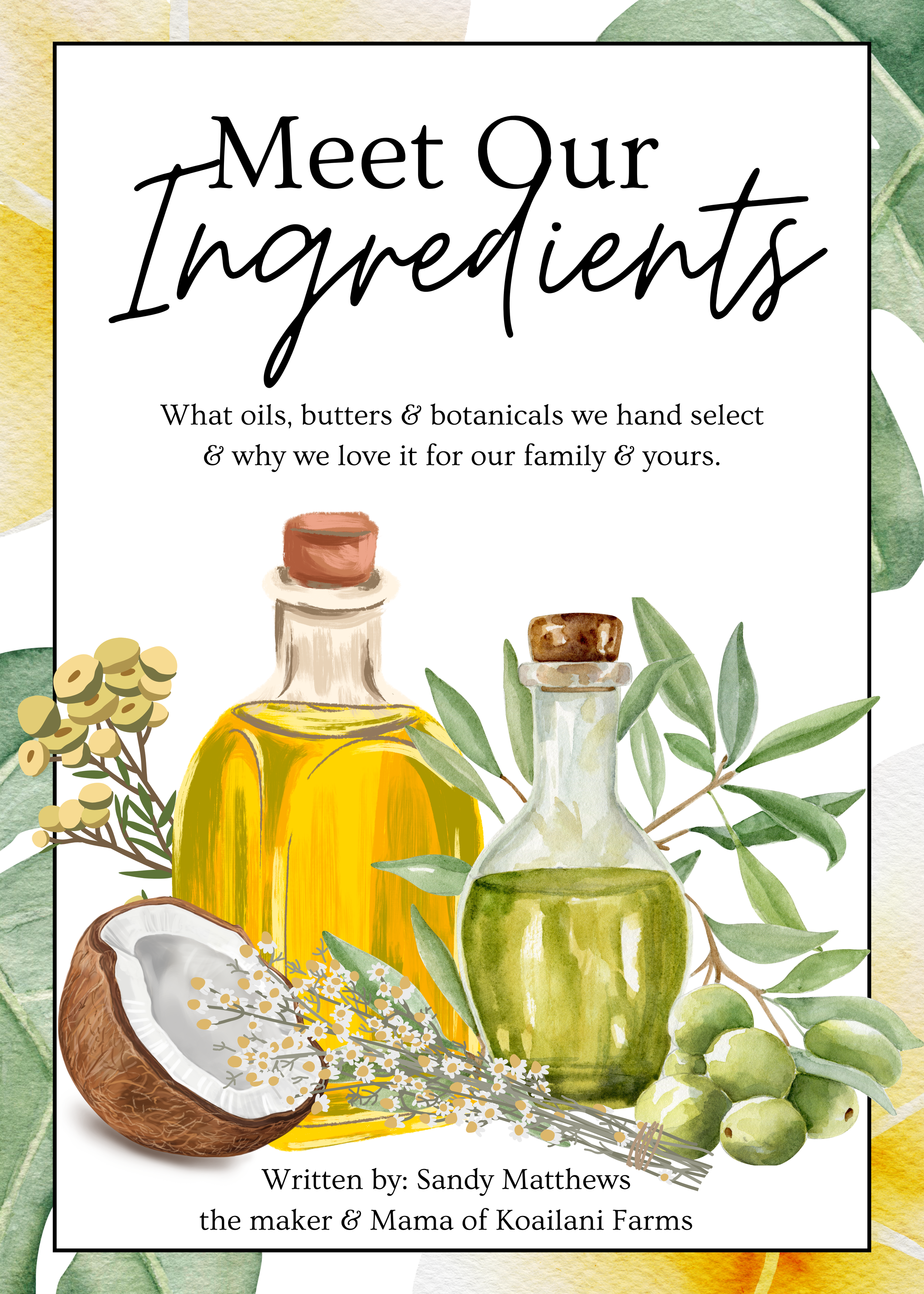 Meet Our.zip - 1.PNG