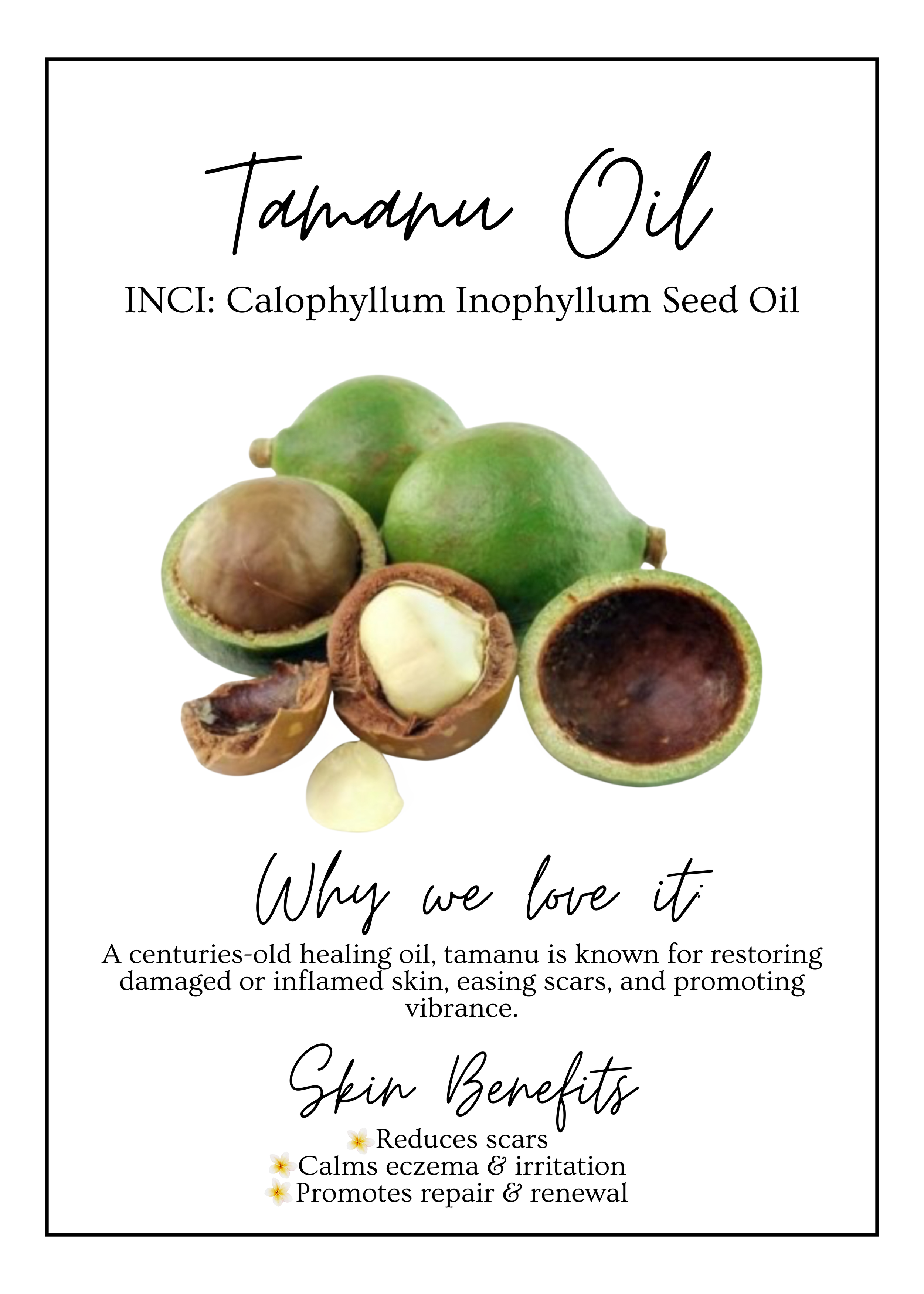 Meet Our.zip - 18.PNG