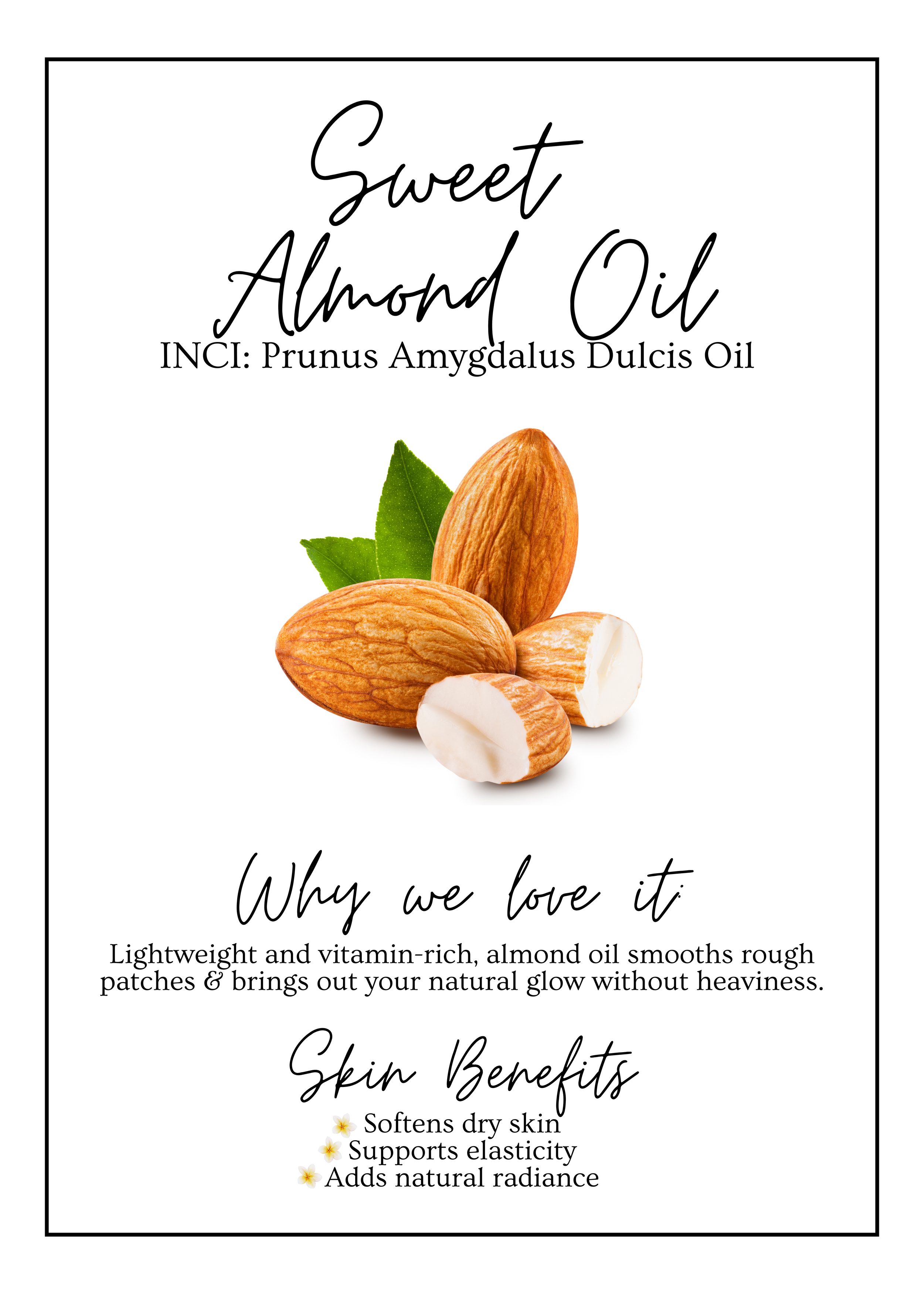 Meet Our.zip - 17.PNG