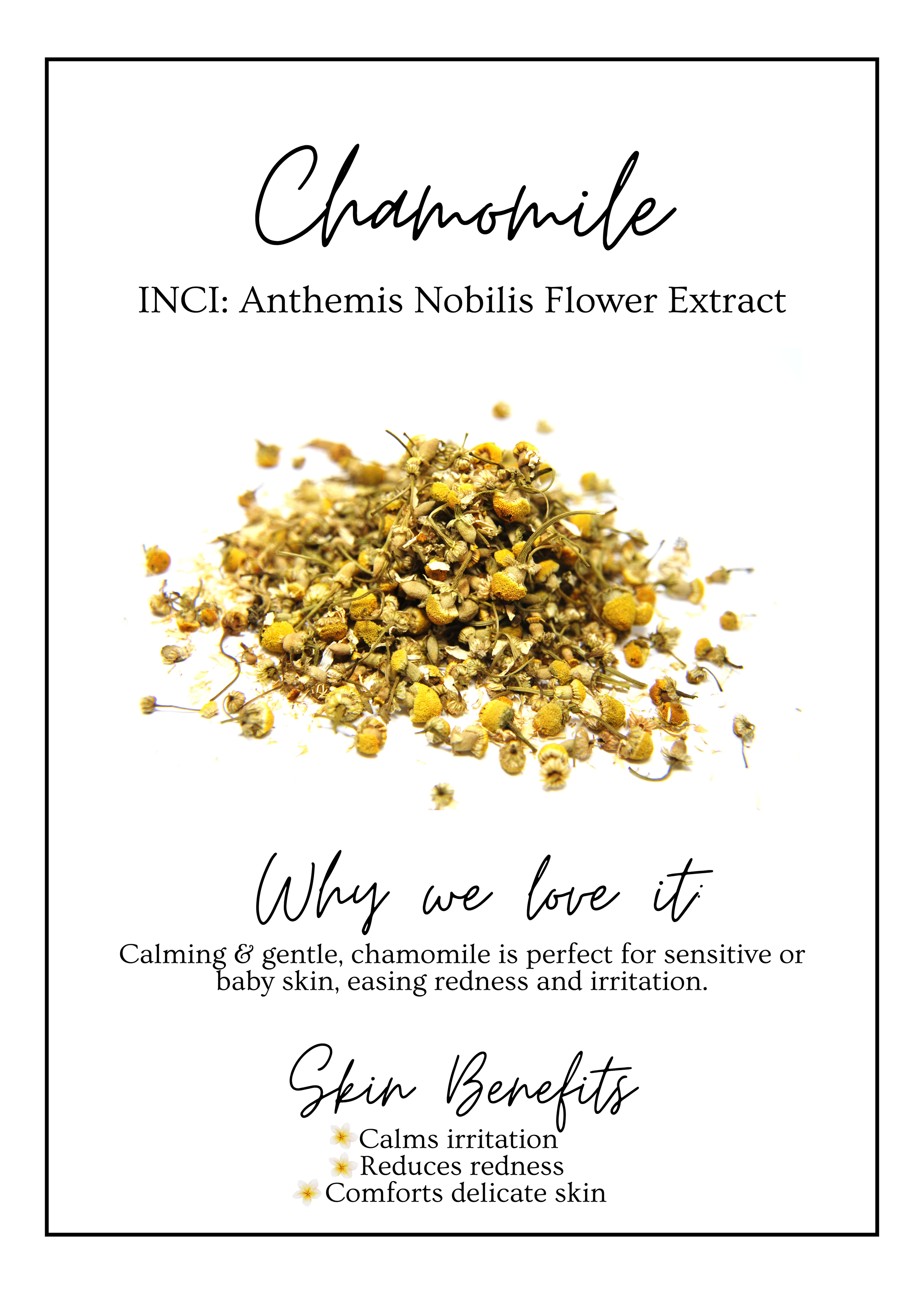 Meet Our.zip - 7.PNG