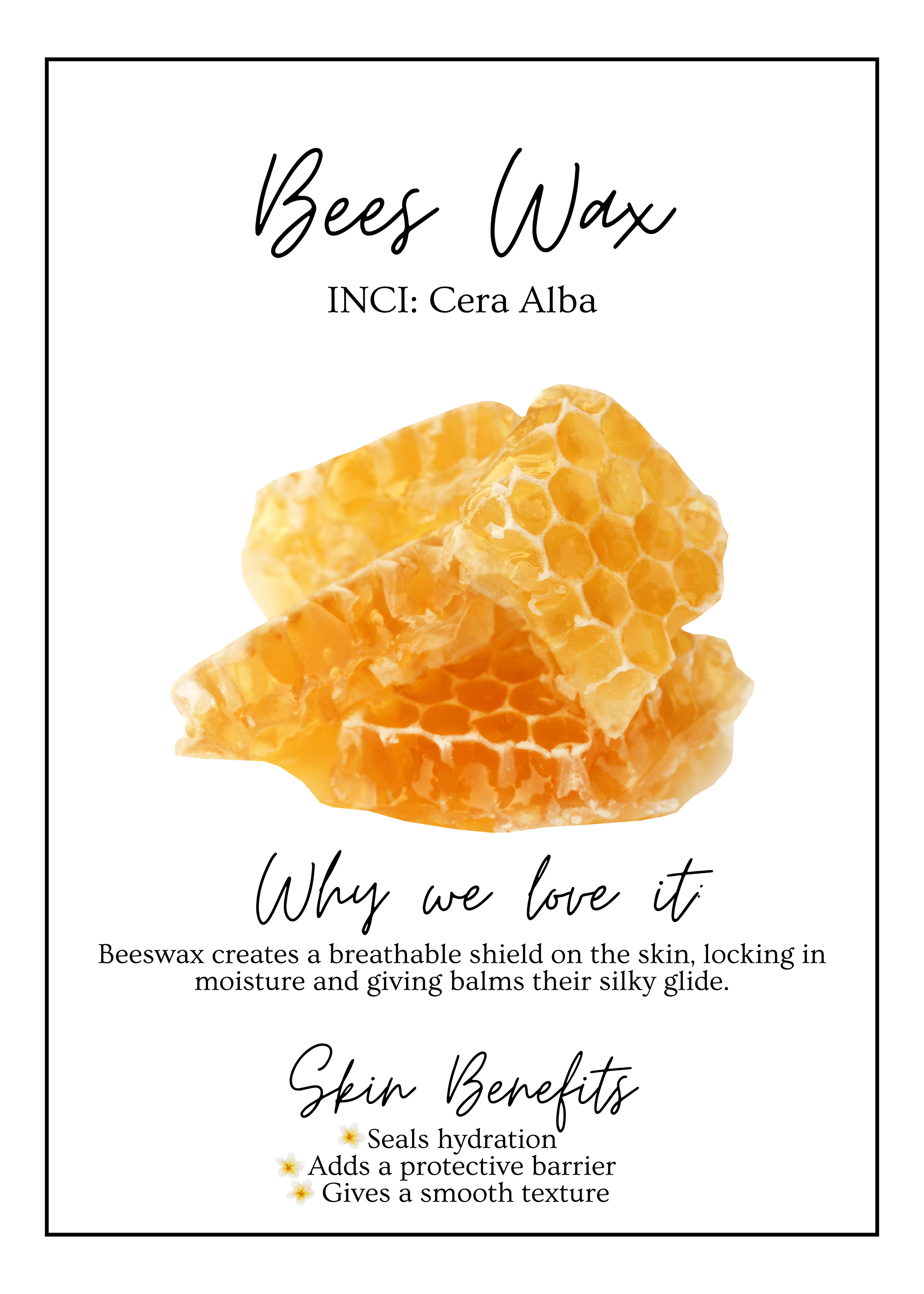 Meet Our.zip - 4.PNG