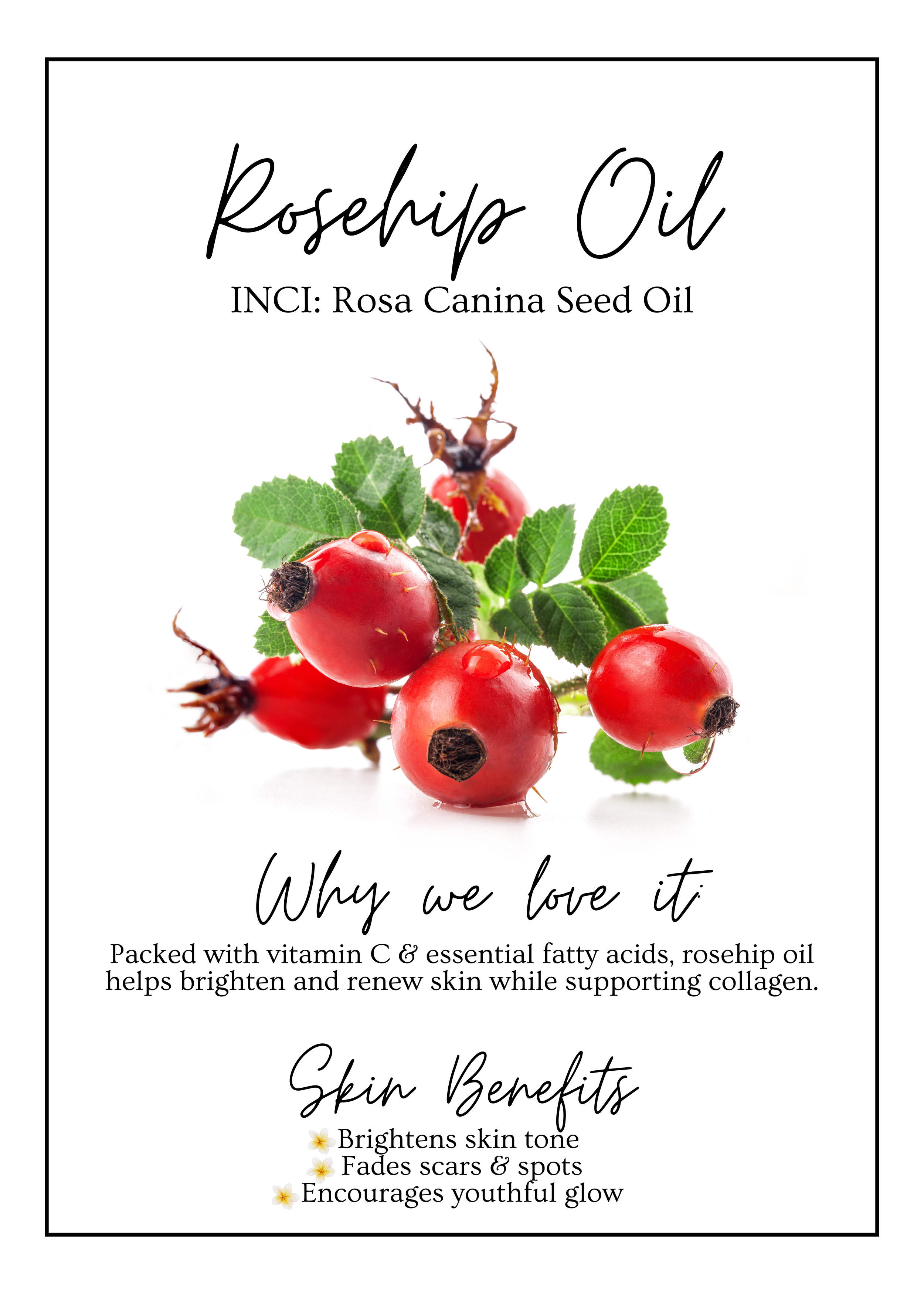 Meet Our.zip - 16.PNG