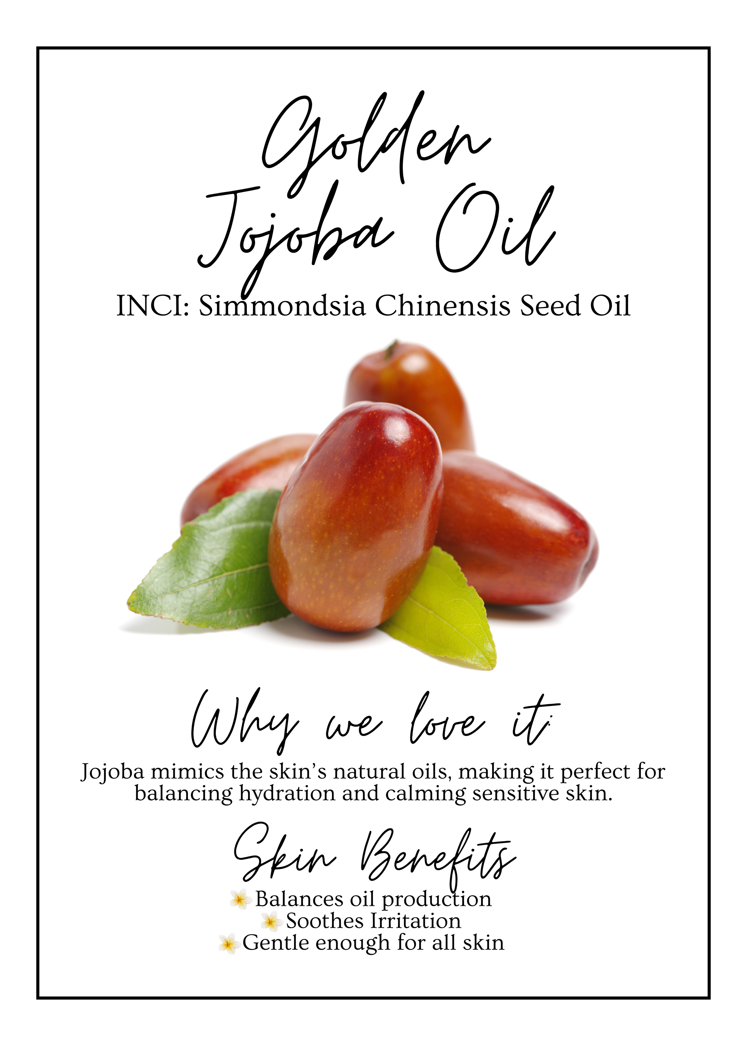 Meet Our.zip - 10.PNG