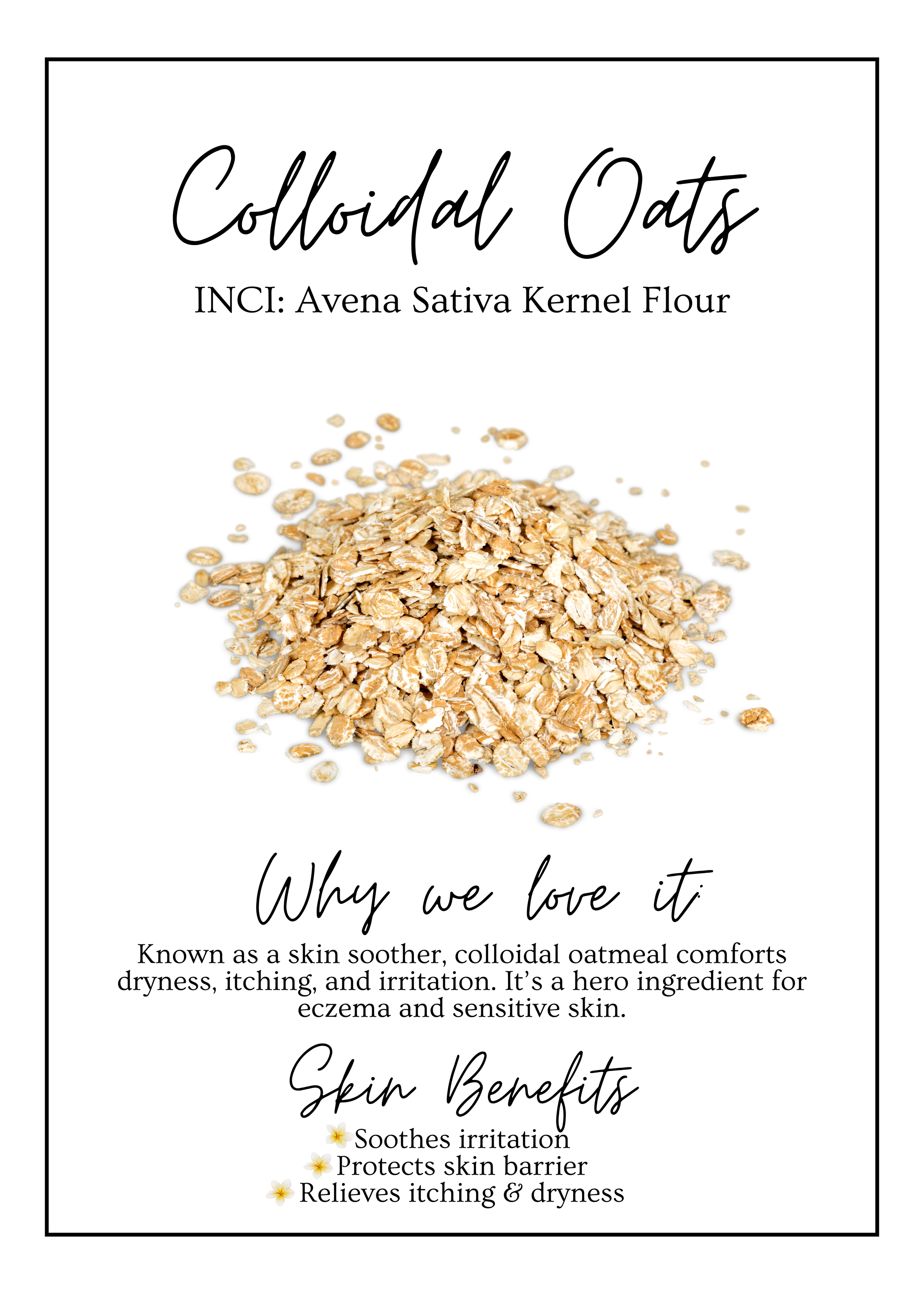 Meet Our.zip - 9.PNG