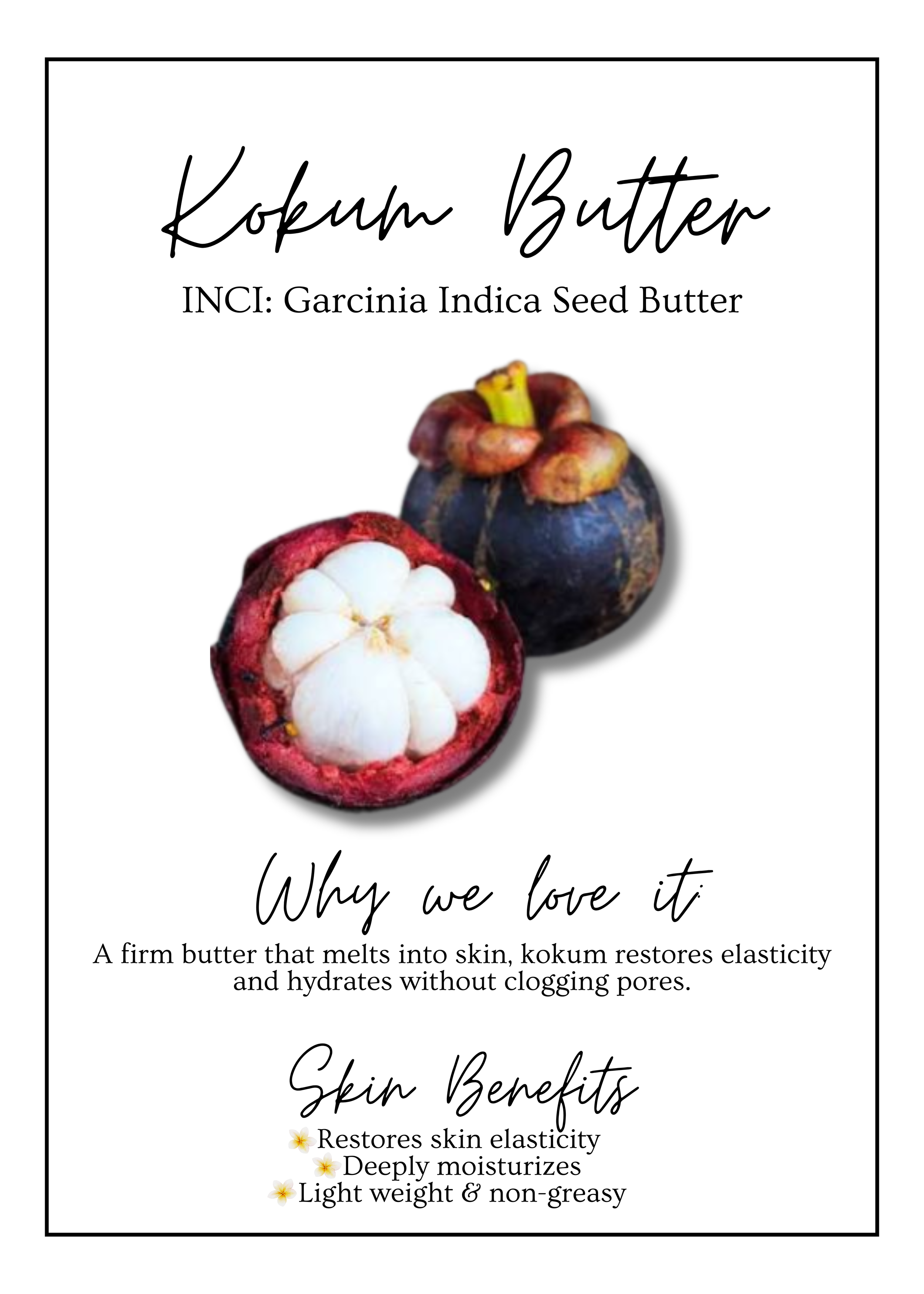 Meet Our.zip - 13.PNG