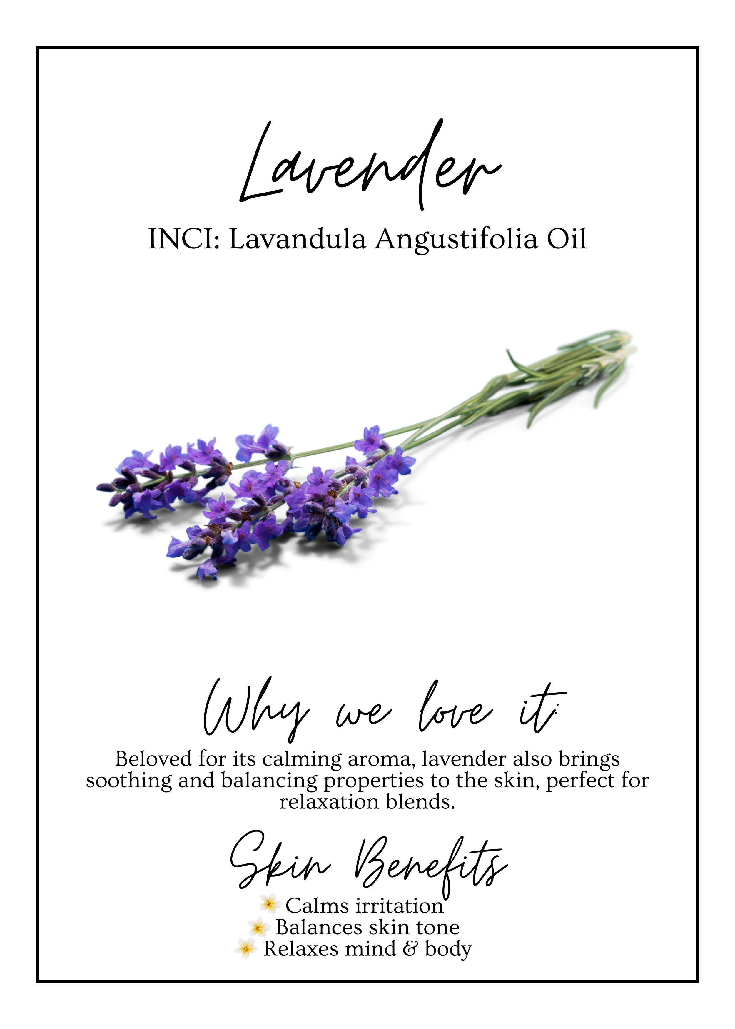 Meet Our.zip - 14.PNG