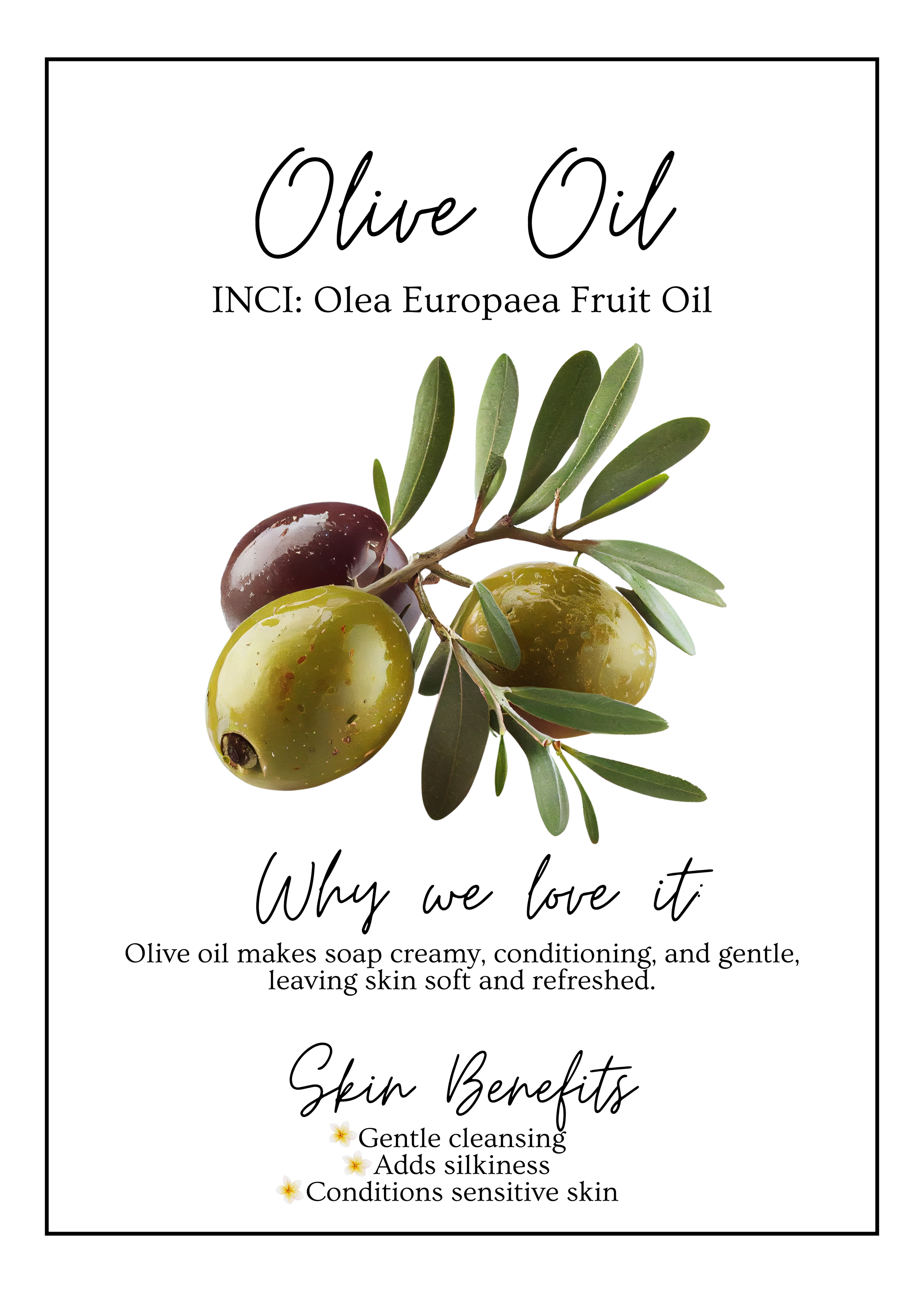 Meet Our.zip - 15.PNG