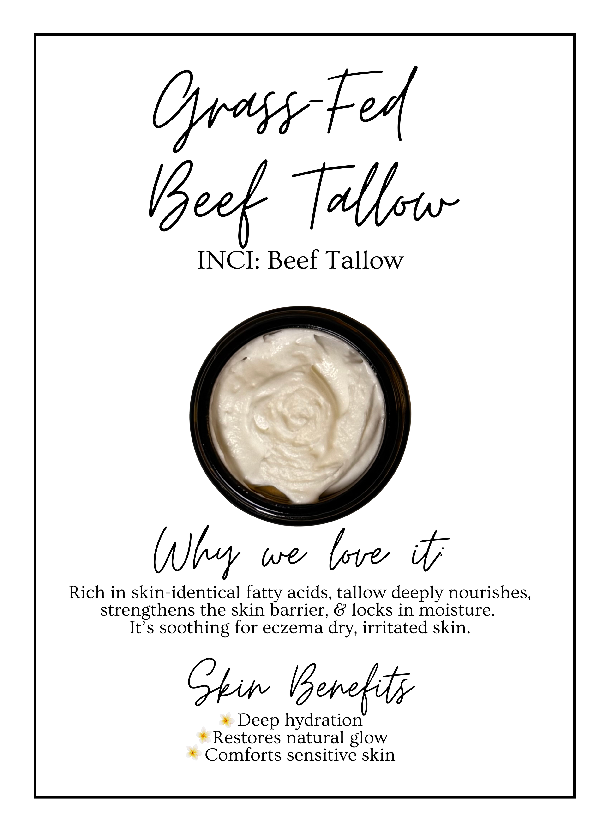 Meet Our.zip - 11.PNG