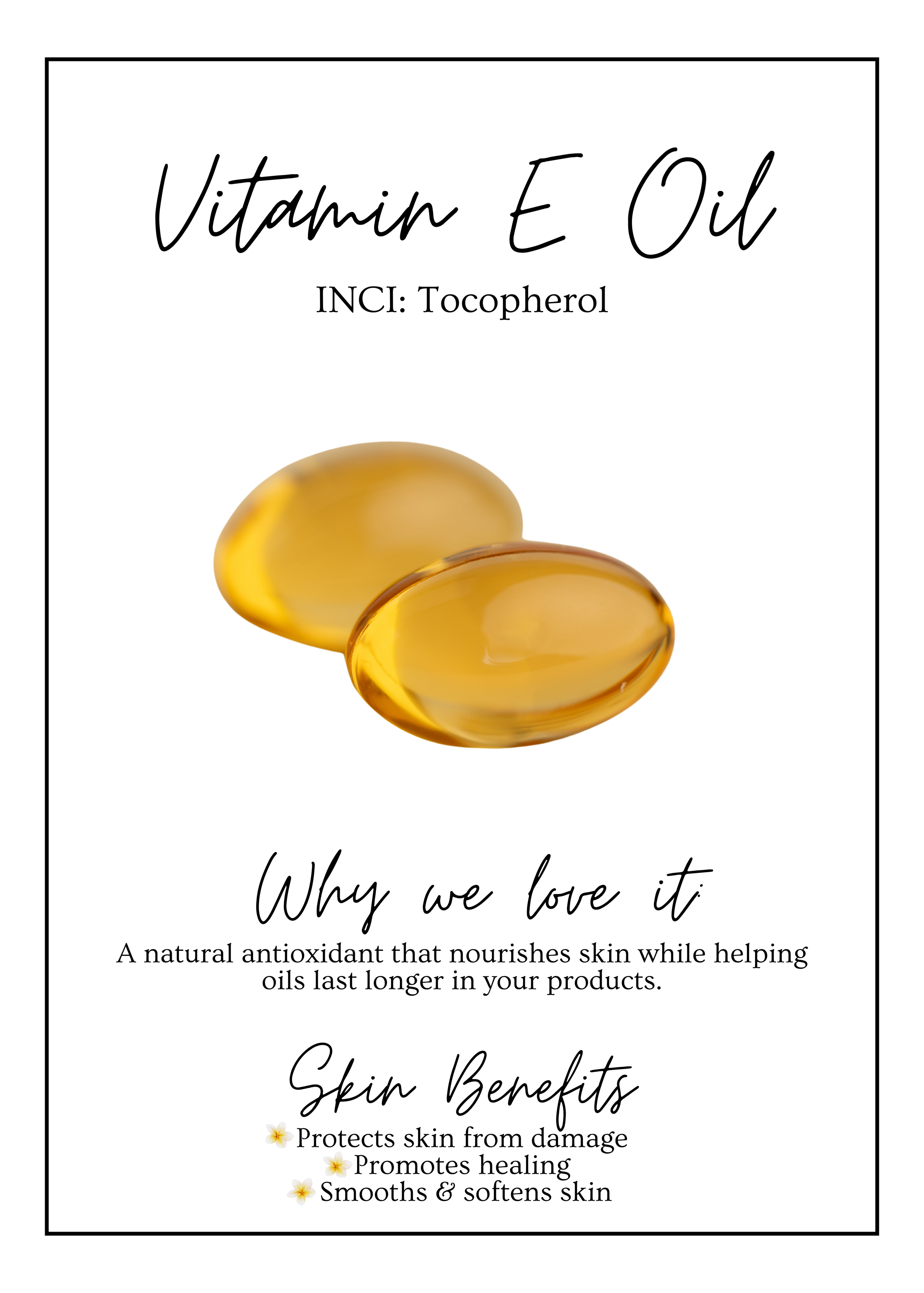 Meet Our.zip - 19.PNG