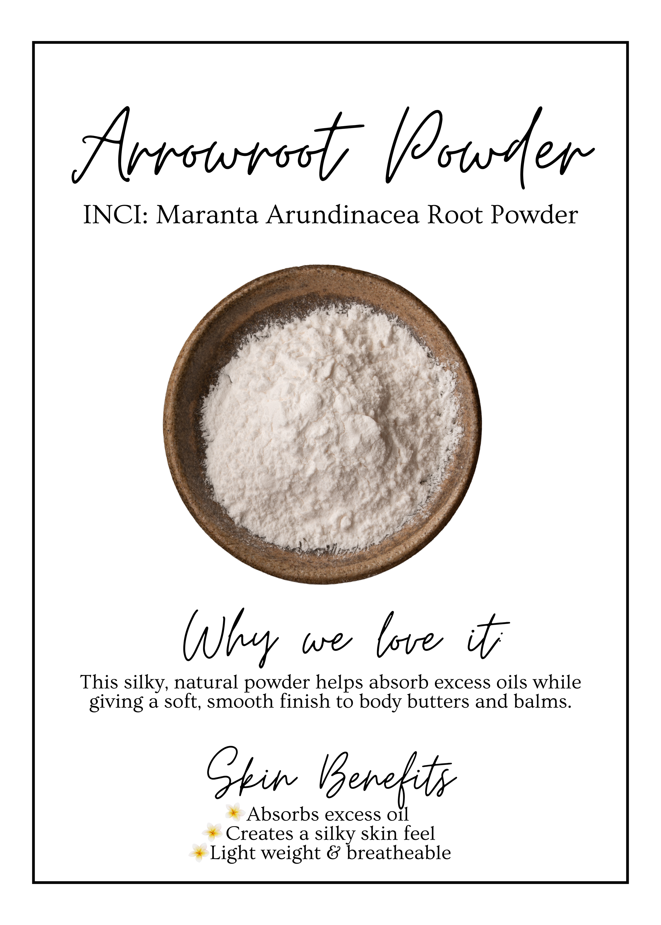 Meet Our.zip - 3.PNG