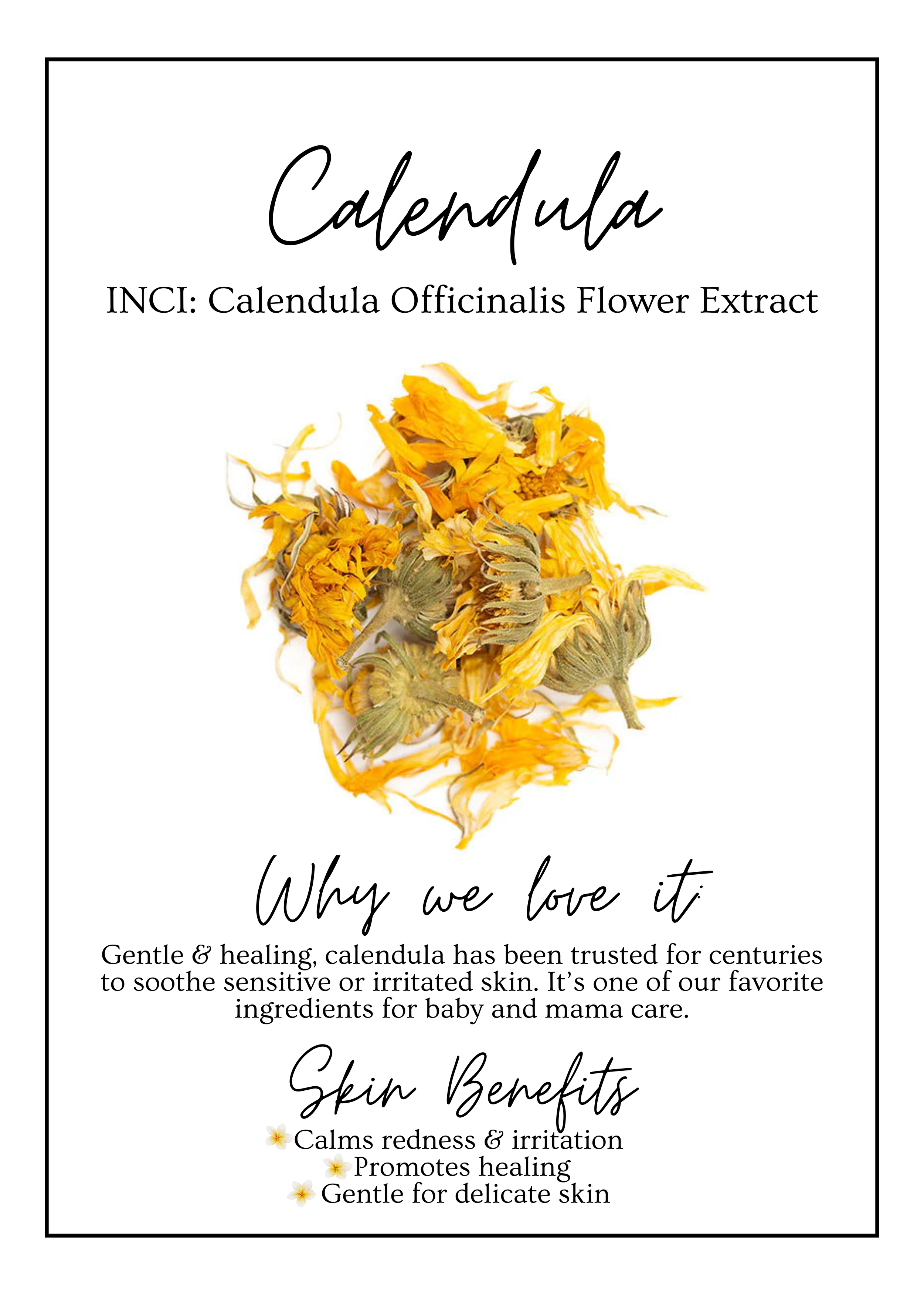 Meet Our.zip - 6.PNG