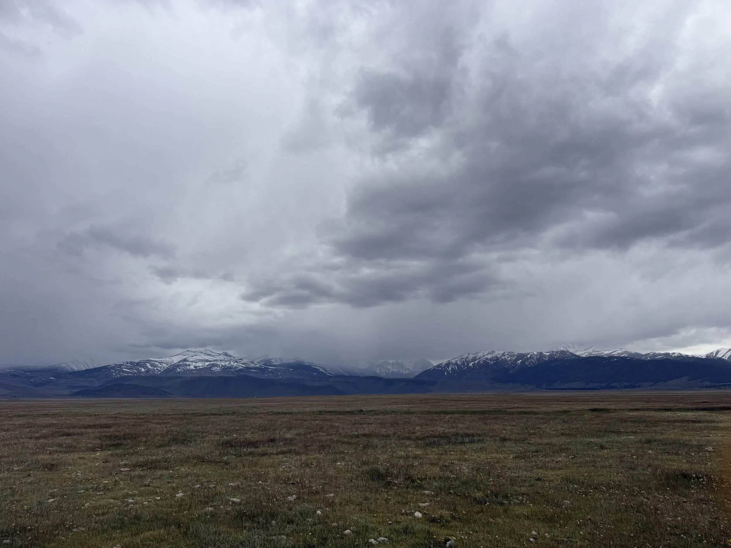 IMG_5506.jpeg