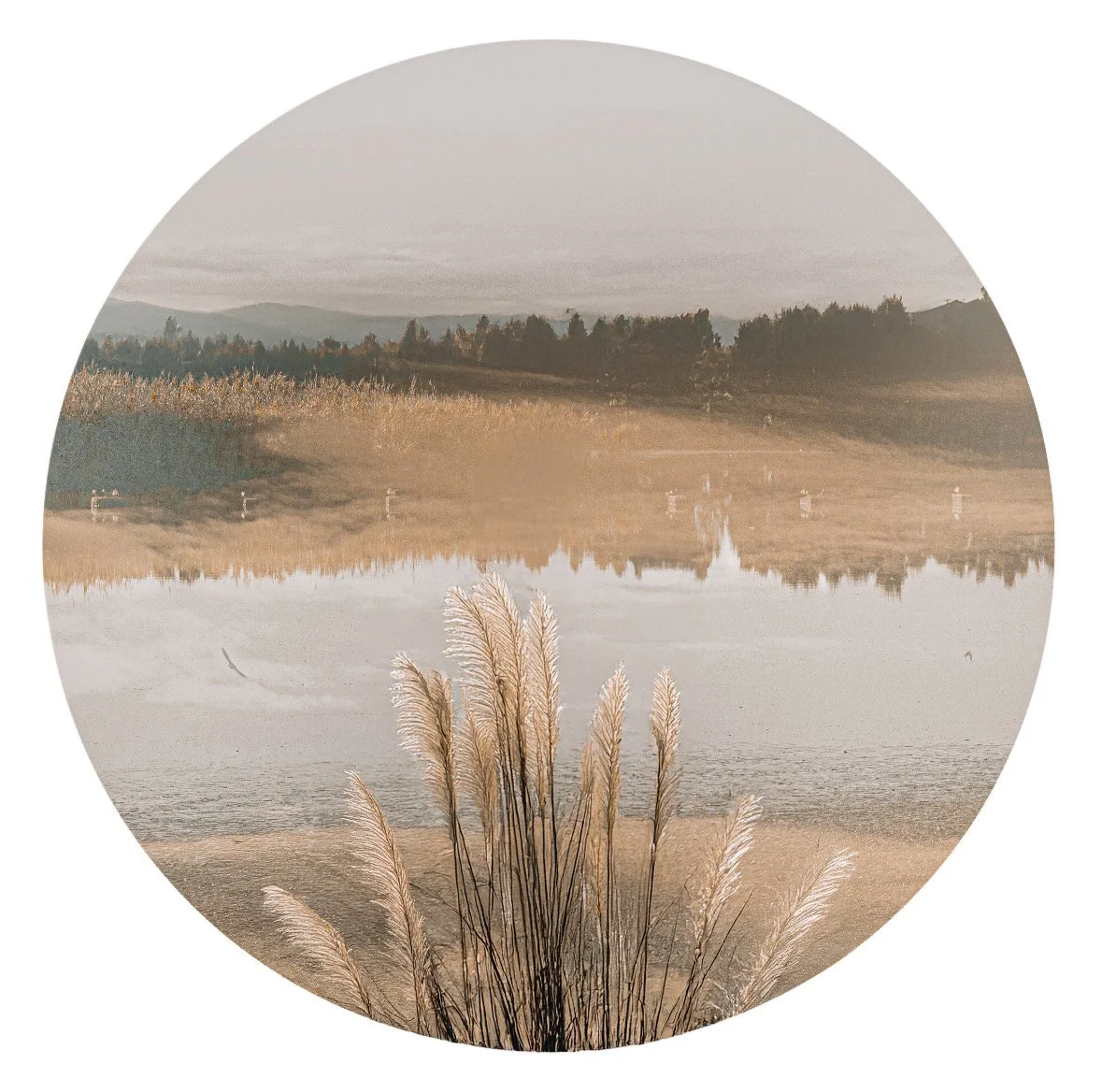 A scenic landscape with tall grass in the foreground, water reflections, rolling hills, and a cloudy sky in the background, all captured through a circular frame.