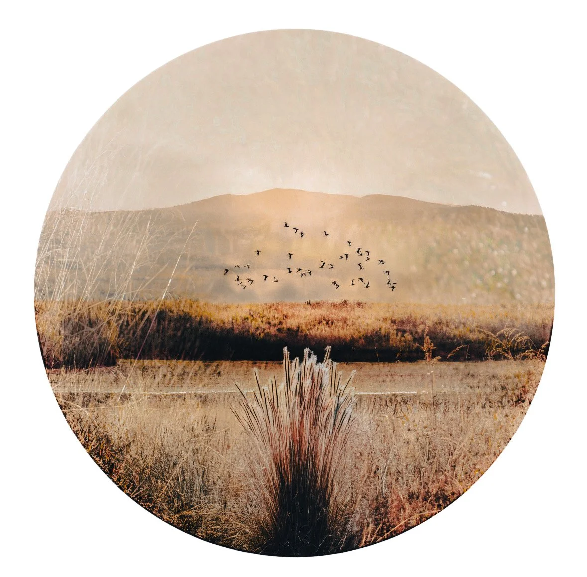 A circular landscape of a marsh or wetland with tall grass, a mountain in the background, and birds flying in the sky during sunset or sunrise.