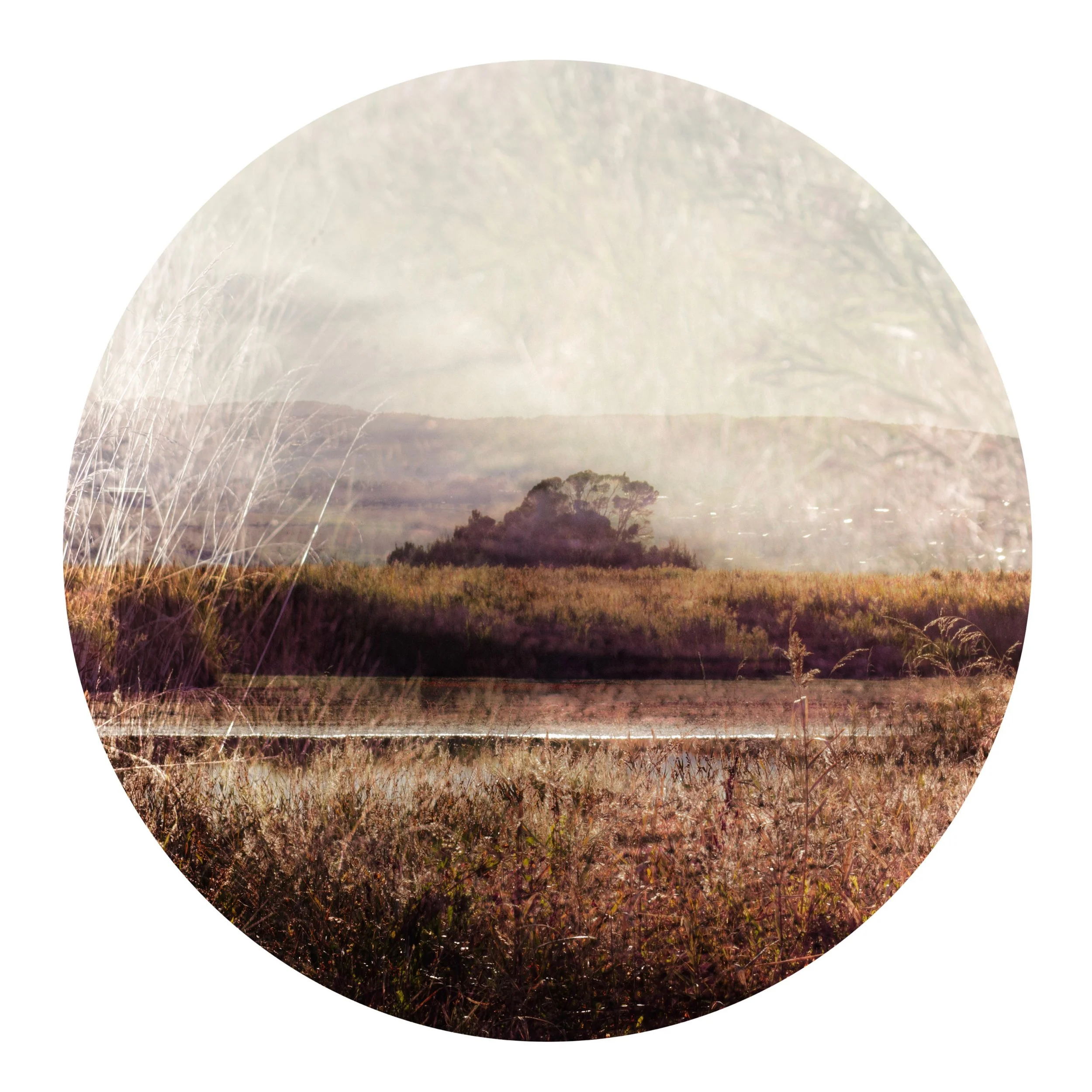 A layered landscape photo with tall grasses, a central tree on a hill, and a hazy sky, all within a circular frame.