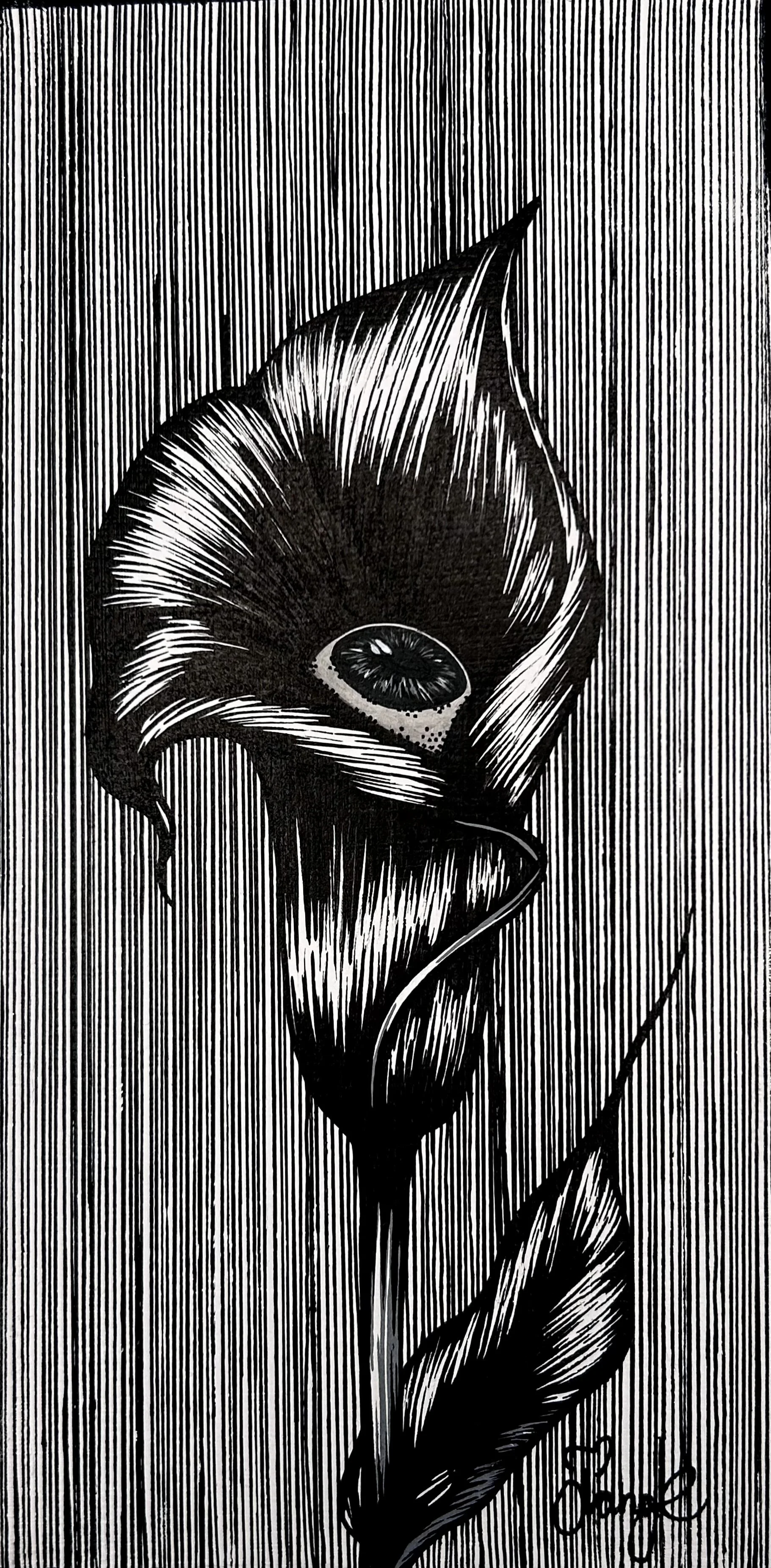 Calla