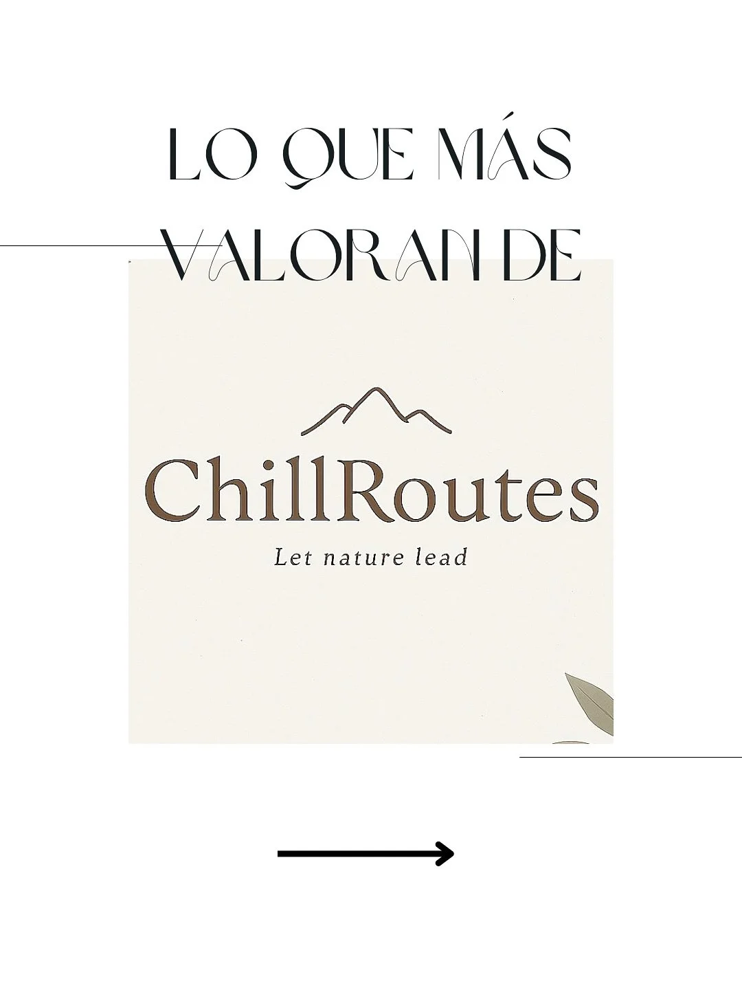 En ChillRoutes no solo viajamos, vivimos la naturaleza como locales🏞️

Nuestros viajeros destacan la cercan&iacute;a, la autenticidad y el cuidado en cada detalle. Porque aqu&iacute;, la diferencia est&aacute; en c&oacute;mo se vive cada experiencia