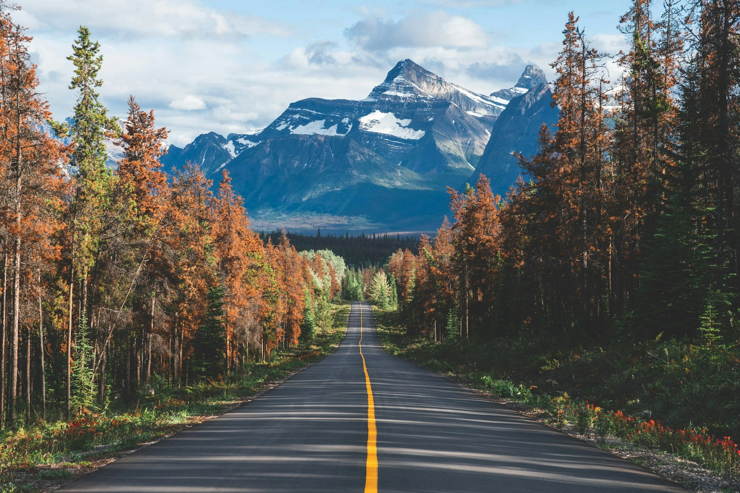 A straight road running through a forest with colorful autumn trees, mountains with snow-capped peaks in the background, under a partly cloudy sky.