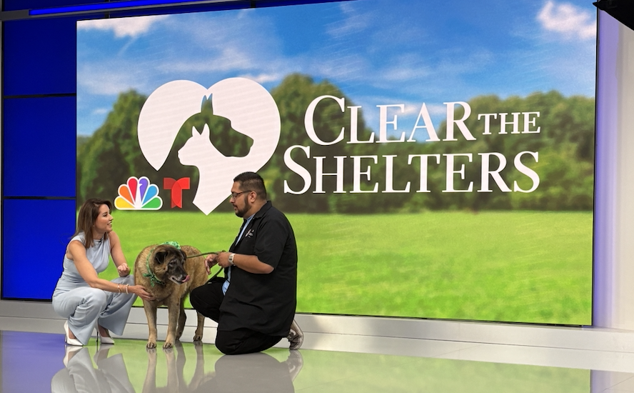 On location with NBC4, securing coverage for MSRPAC — because getting the story means showing up.