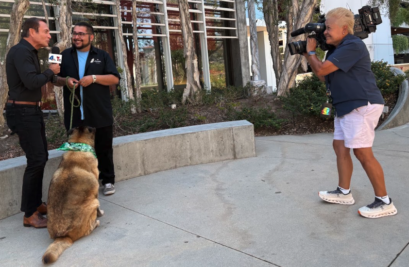 Behind the Scenes with FuerzaPR: MSRPAC rep speaks to LA TV broadcast reporter on camera.