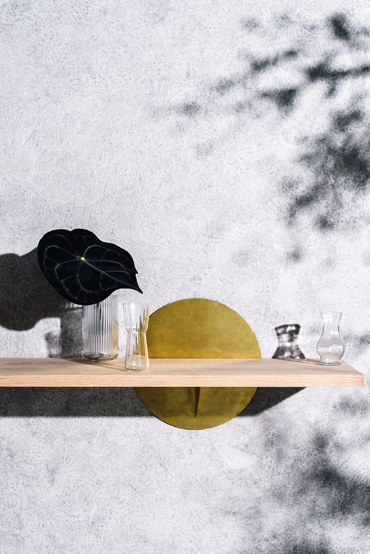 Wooden shelf mounted on a wall with a black-leafed plant in a glass vase, and three empty glass vases. Shadows of tree branches cast on the wall.