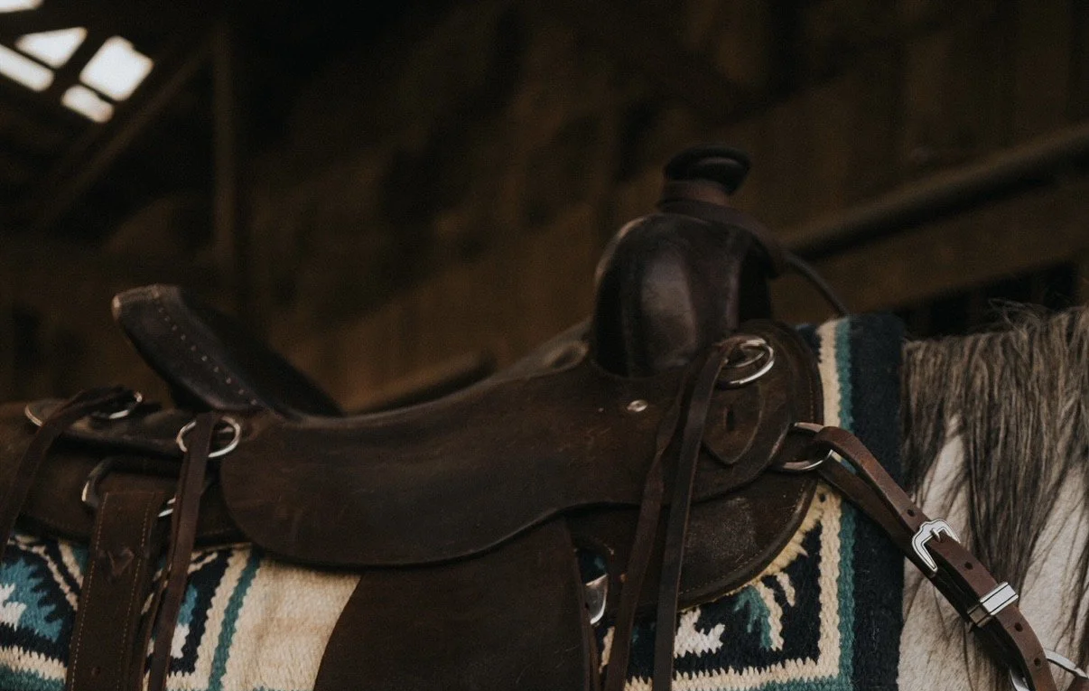 1:1 Custom Equine 1 Hour Session