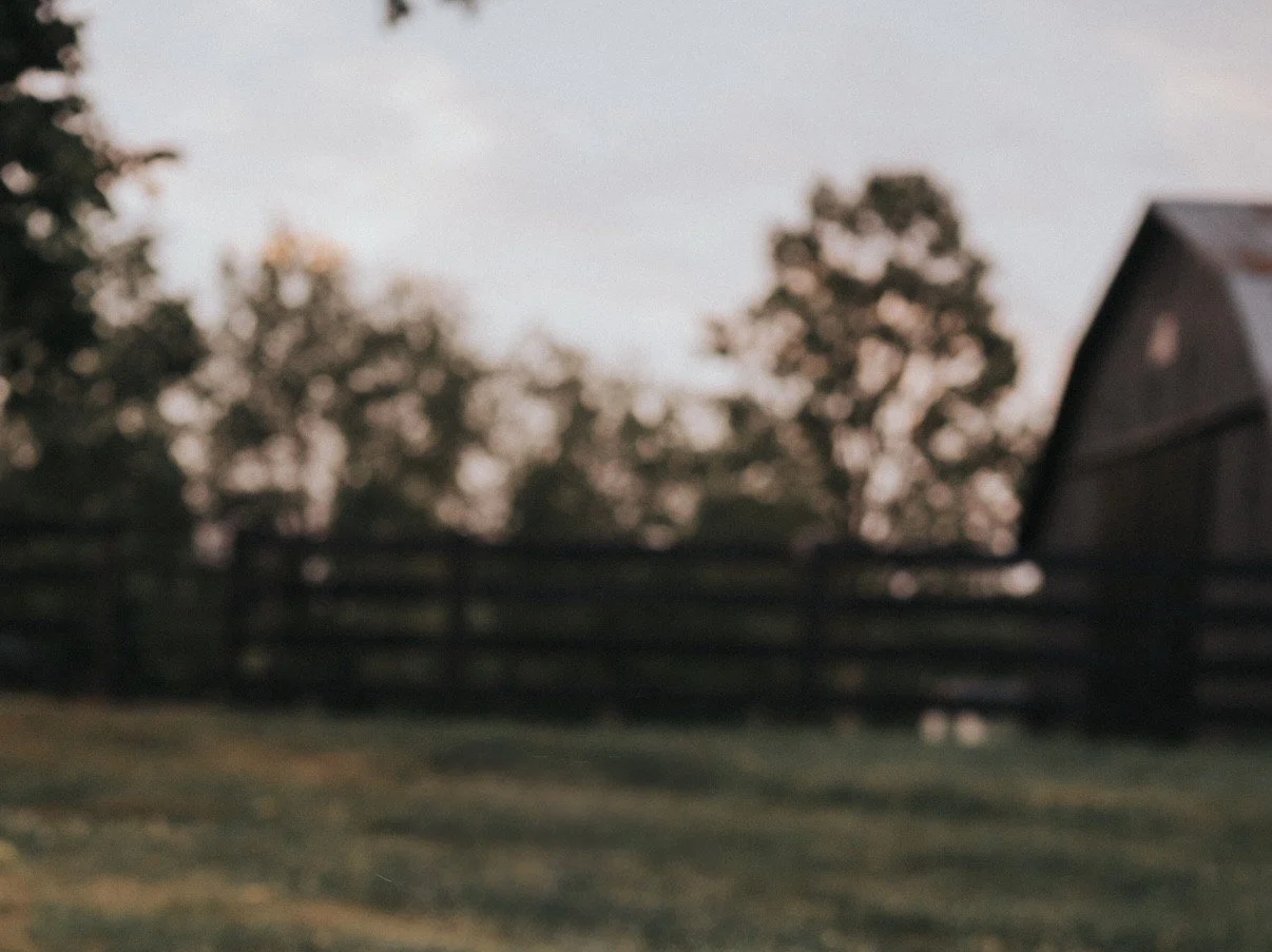 Initial Farm + Barn Management Consultation