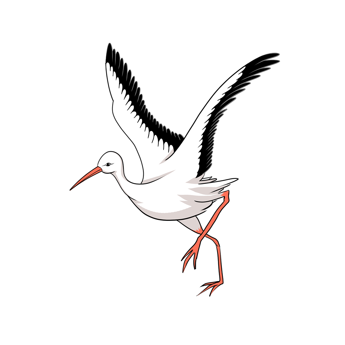 —Pngtree—flying stork clip art_5975925.png